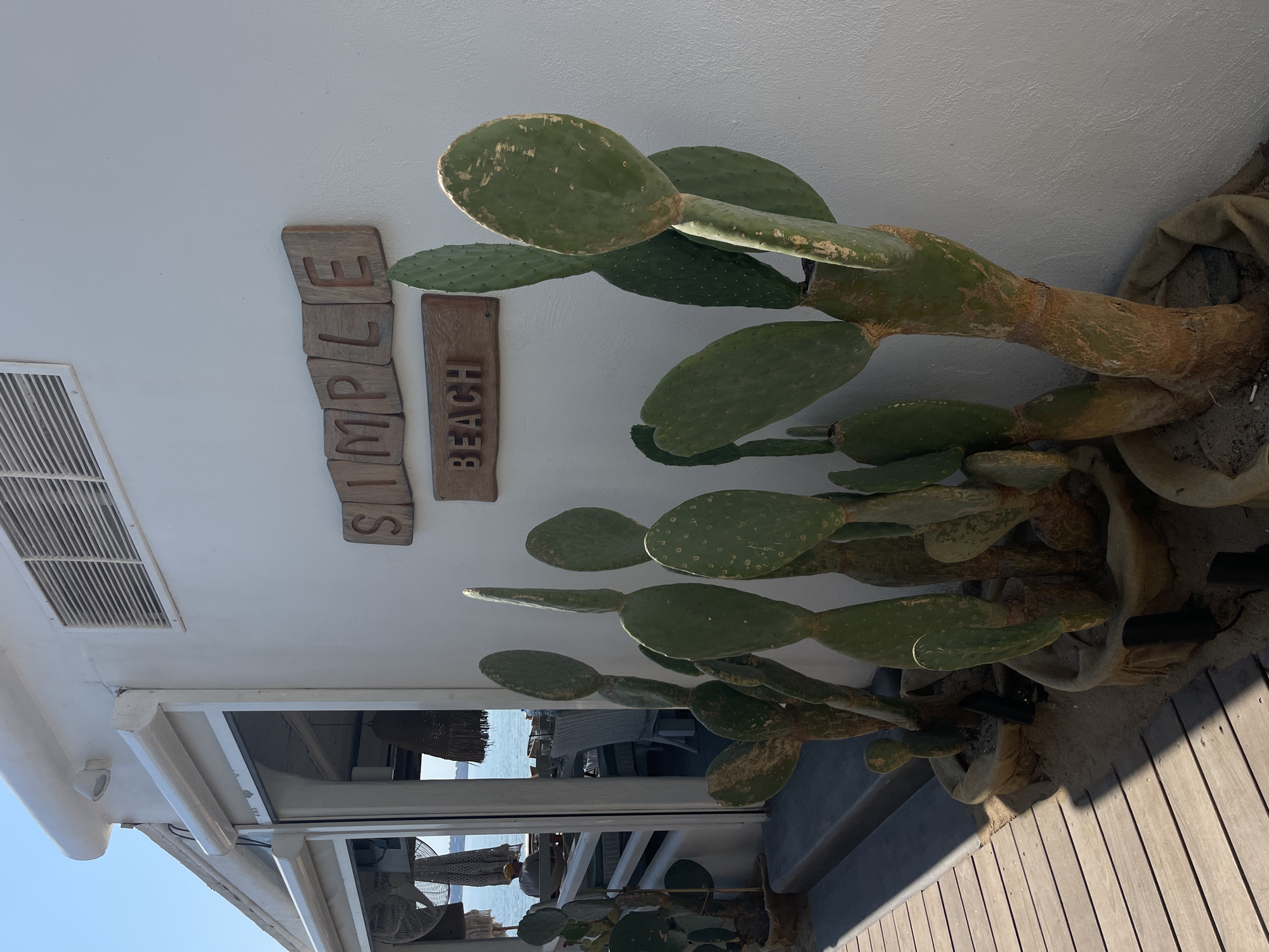 The image captures a sunny outdoor scene in Chernomorets, Bulgaria, likely in front of a establishment. A white building with a roll-up door and a vent is visible. Above the entrance, wooden letters spell out "SIMPLE BEACH." In the foreground, several potted prickly pear cacti stand along a wooden walkway. In the background, through the open doorway, a glimpse of the sea and an interior with wicker chairs can be seen. A person wearing a yellow cap is seated inside.
