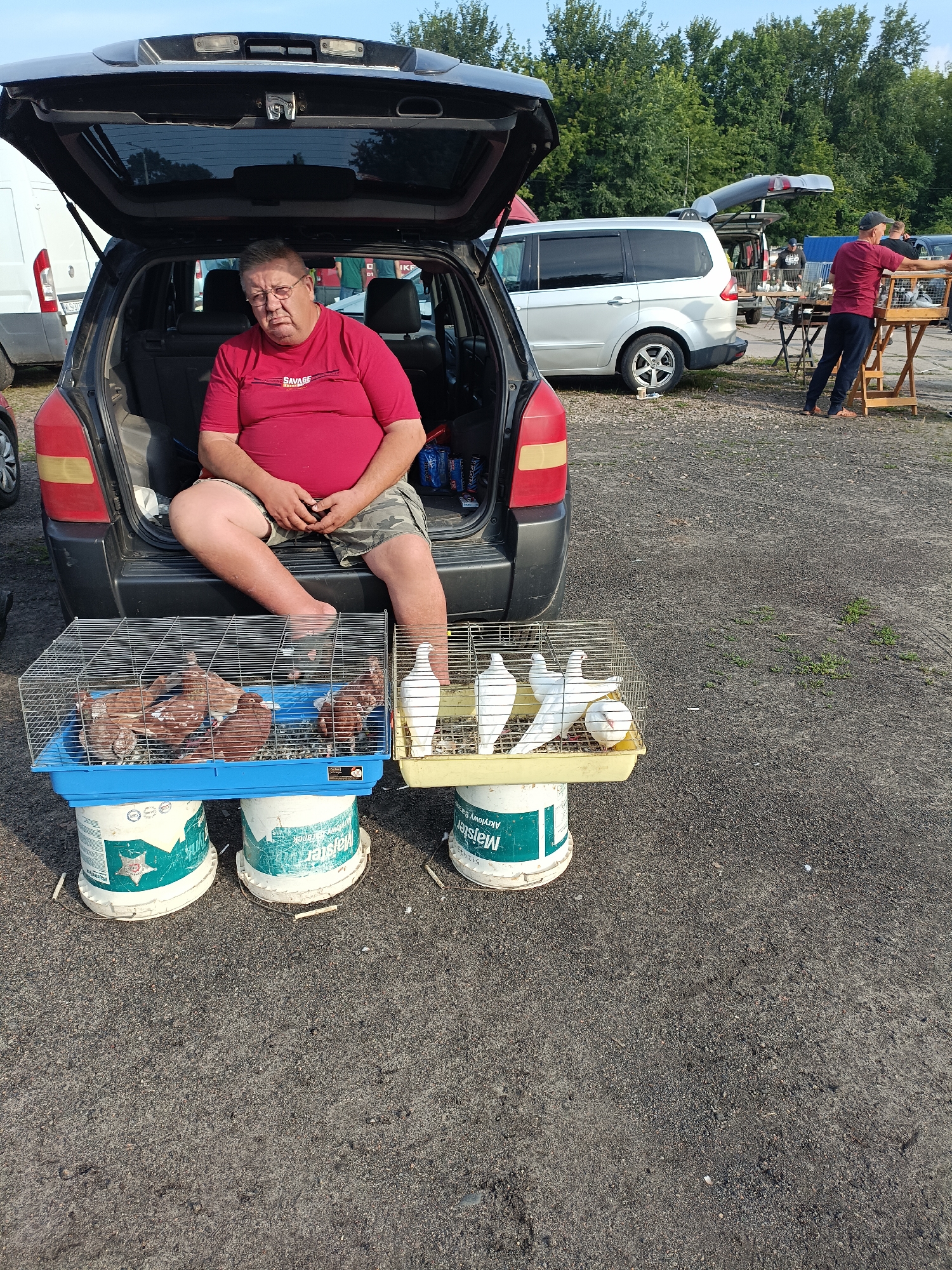 A man sits in the open trunk of a black hatchback at what appears to be an outdoor market. He is wearing a red t-shirt with a graphic design on the front and camouflage shorts. His legs are crossed, and he is holding a phone in his right hand. In front of the car, two bird cages are placed on top of large white buckets. The cage on the left contains several brown pigeons, while the cage on the right holds white pigeons. In the background, other vehicles, including a silver minivan, are visible, along with people and trees. One person is standing near a wooden stand with a cage of birds. The ground is covered in gravel. The scene is set outdoors with a clear sky. There is no specific information about the location being the city of Łosice, Poland.