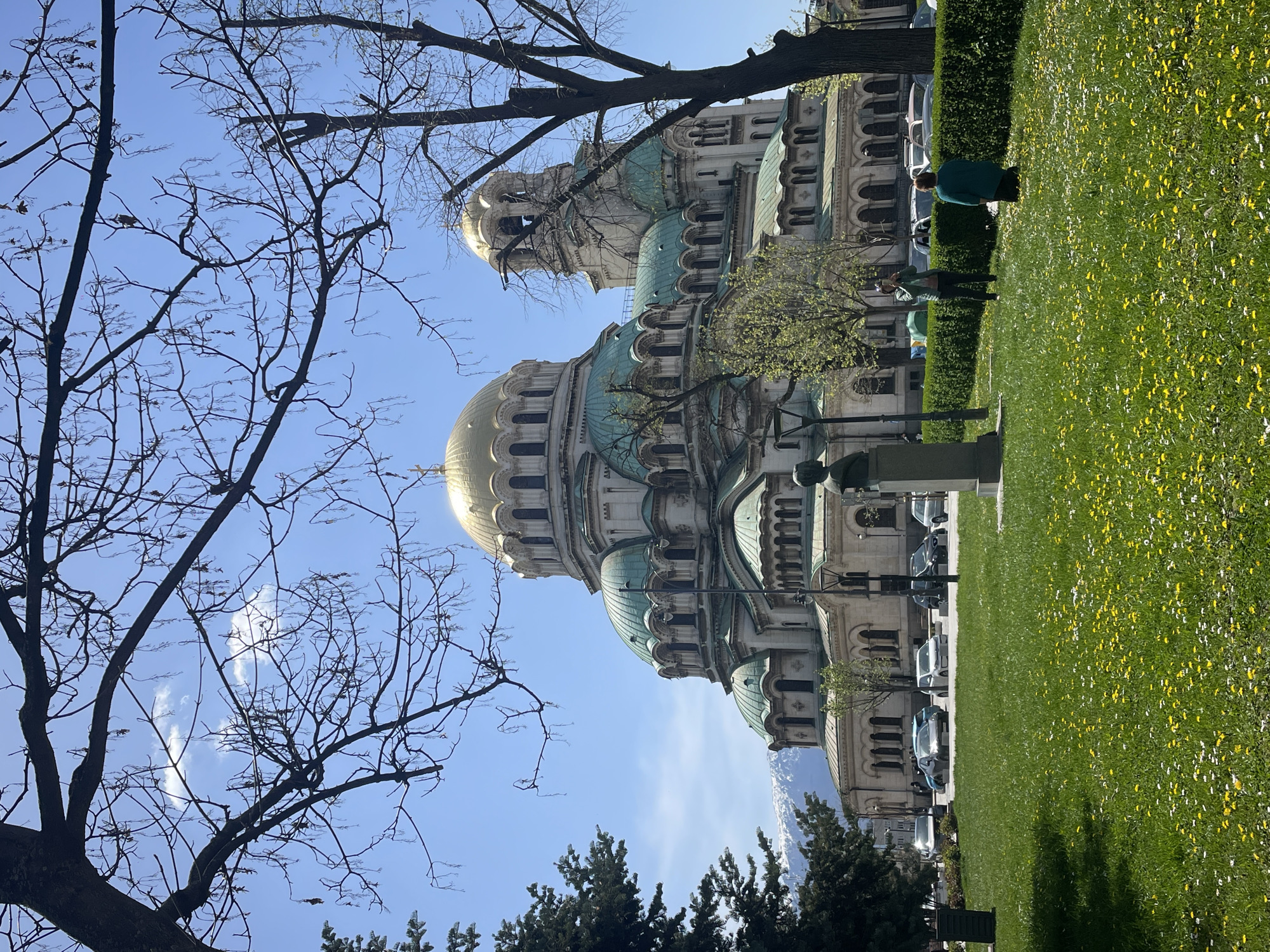 The image captures a sunny, outdoor scene in Sofia, Bulgaria, featuring the prominent Saint Alexander Nevsky Cathedral. The time of day is bright daylight, with a clear blue sky marked by a few wispy clouds.
In the foreground, the dark, intricate branches of several bare trees frame the view, suggesting late winter or early spring. On one of these branches, a small bird is perched.
The magnificent Saint Alexander Nevsky Cathedral stands in the mid-ground, dominating the composition with its grand architecture. It features several large, shimmering golden domes and numerous smaller domes covered in a distinct verdigris (greenish-blue) patina. The cathedral's light-colored facade is adorned with multiple arched windows and decorative elements.
To the right, a vibrant green lawn covered extensively with small yellow flowers (likely dandelions) extends across the lower portion of the frame. A well-maintained green hedge separates this grassy area from a paved road where several cars are parked. Two people are visible on the lawn: one person wearing a teal jacket is standing near the hedge, and another in darker clothing is further back.
In the background, beyond the cathedral and some dark evergreen trees, the distant, snow-capped peaks of mountains (presumably Vitosha Mountain) are faintly visible under the clear sky. There is no visible text in the image.
