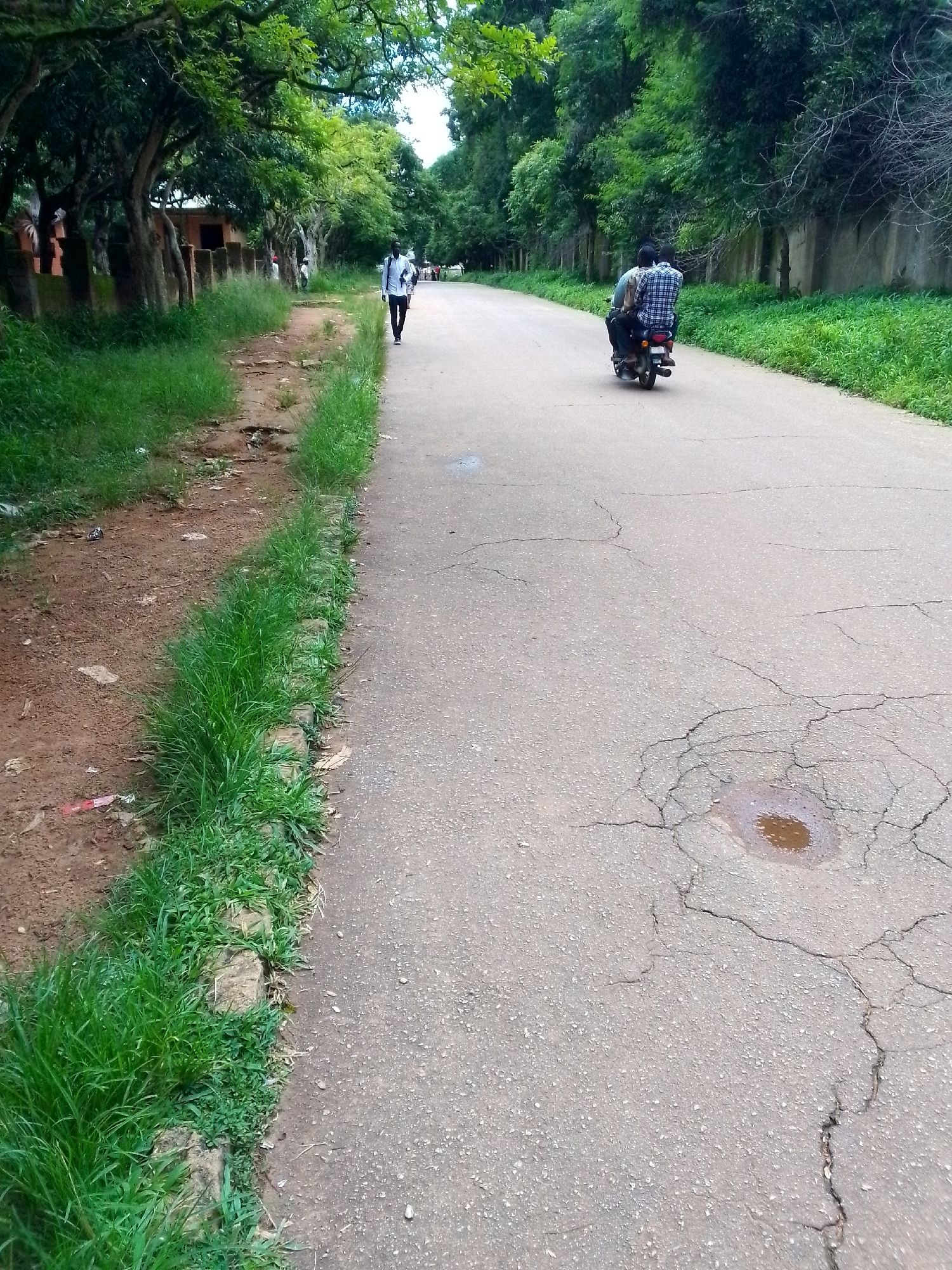A wide-angle, eye-level shot captures a road lined with lush green trees and grass on both sides, suggesting an area within the city of Jos, Nigeria, potentially a park or a less developed urban stretch. In the foreground, the asphalt road shows signs of wear, with visible cracks and a small puddle. To the left of the road, a dirt path is bordered by a dense strip of green grass, with some scattered debris. Further down the road, a man dressed in a white shirt and black trousers walks away from the camera, carrying a bag over his shoulder. He appears to be walking on the edge of the road. In the distance, on the right side of the road, a motorcycle carries two individuals, both facing away from the camera. The rider wears a plaid shirt, and the passenger also appears to be wearing a similar pattern. The background is dominated by dense foliage and trees, creating a natural canopy over the road. The sky is overcast, contributing to the soft, diffused lighting of the scene. The overall impression is one of a serene, green environment within an urban setting.
