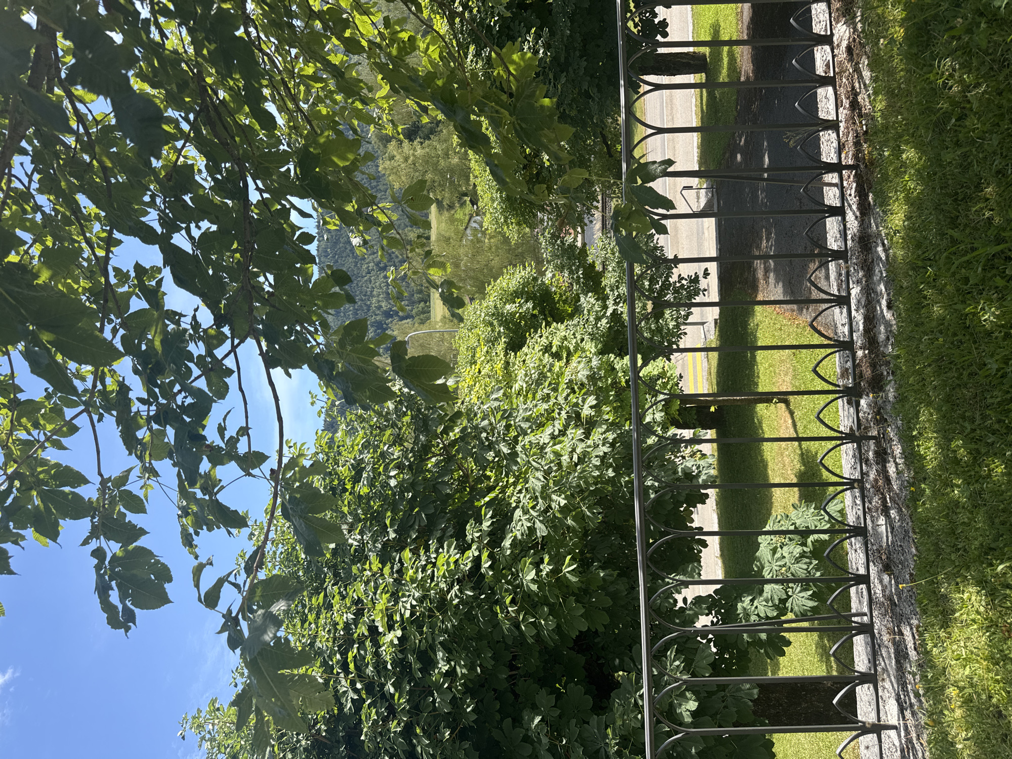 The image shows a view through a wrought iron fence looking out onto a green landscape under a clear blue sky. Lush green trees, some with large leaves, dominate the foreground and midground. In the distance, rolling hills covered in trees can be seen. A paved road with yellow lines runs horizontally through the midground, with some buildings visible beyond it. The ground in the foreground is covered in grass. The fence has an ornamental design with arched elements. The overall impression is one of a peaceful, natural setting. This scene is located in Court, Switzerland.