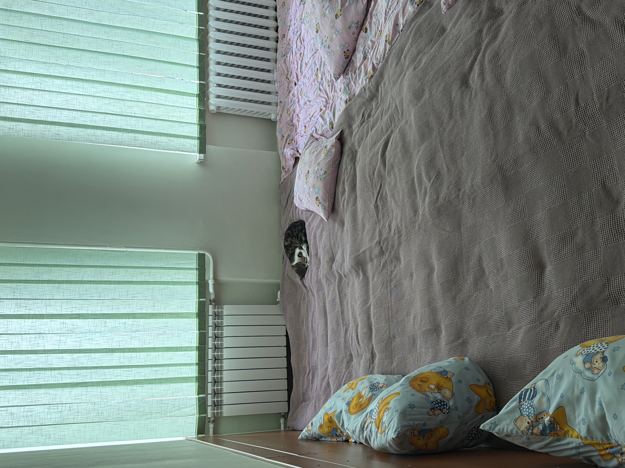 The image shows a bedroom with a bed on the right side. The bed is covered with a gray blanket, and at the bottom of the bed are two blue pillows with cartoon designs. There is a cat peeking out from under the blanket near the top of the bed. To the left of the bed is a radiator and a window with blinds.