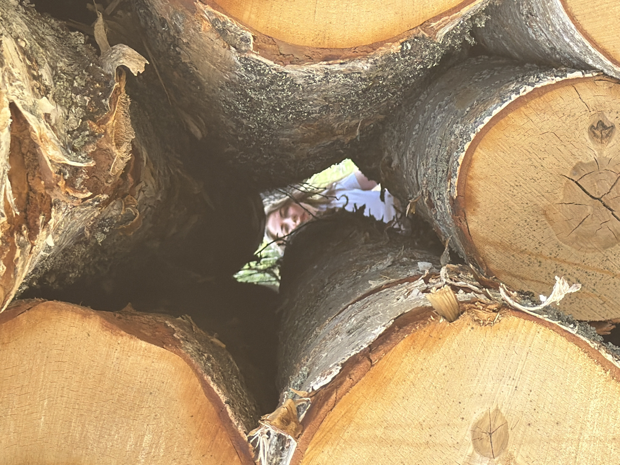 The image depicts a stack of freshly cut logs, likely arranged for firewood or lumber. The logs are predominantly light brown in color, with visible tree rings and bark. The stack is loosely packed, creating irregular gaps between the logs. Through one of the gaps, a person's face is partially visible. The person has light skin and appears to be looking directly at the camera. The background beyond the logs appears to be outdoors, with hints of green foliage suggesting a natural environment. There is no verifiable information to suggest this is in Ural'skoe, Russia.