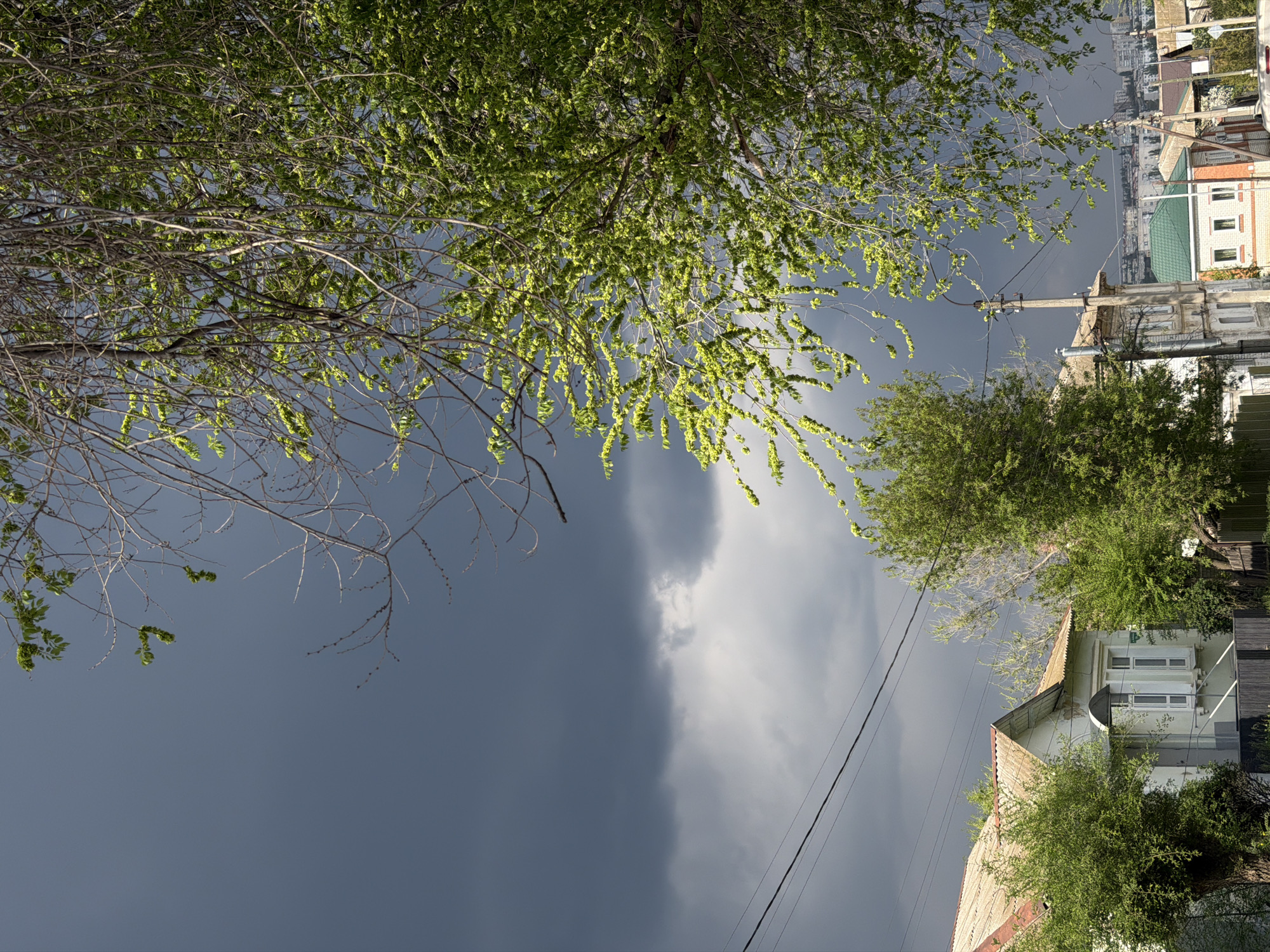 The image depicts a stormy sky above what appears to be a residential area in Kamyshin, Russia. The sky is divided between dark, ominous storm clouds and areas of brighter, overcast sky. The lower portion of the frame features a white, two-story house with a gabled roof partially obscured by foliage. Power lines run diagonally across the frame. Trees with green leaves frame the top portion of the image, some branches are bare. In the background, a row of multi-story residential buildings can be seen.