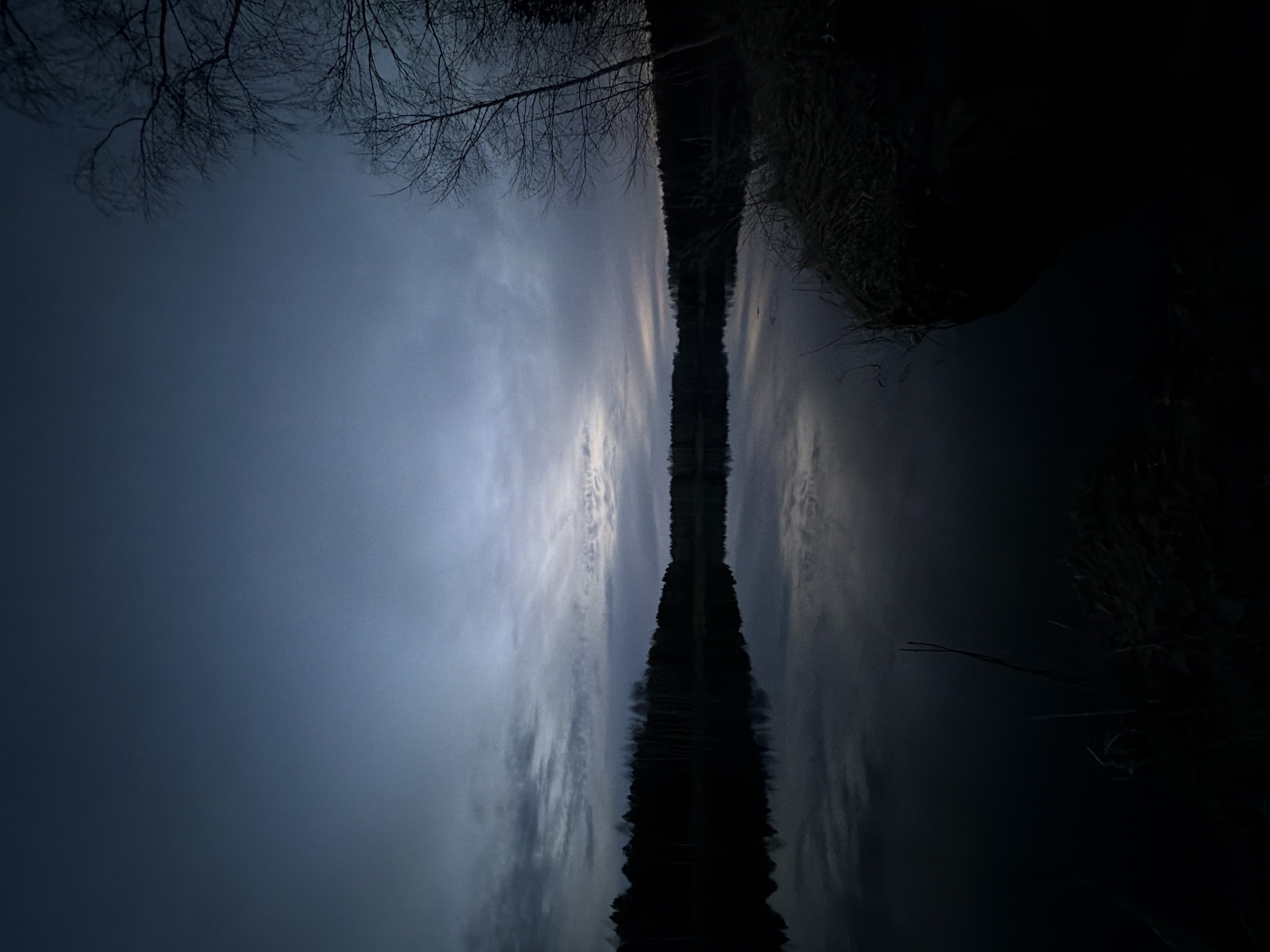 This vertically oriented image, likely a landscape photograph rotated 90 degrees counter-clockwise, depicts a serene twilight or early night scene in Novyi, Russia.
When viewed in its intended horizontal orientation, a still body of water occupies the lower half, perfectly reflecting the sky and a distant landmass above. The sky, in the upper portion, is a deep, moody indigo and gray-blue, streaked with lighter clouds that suggest faint illumination from a hidden moon or lingering twilight. Bare tree branches are silhouetted against this sky on the far left.
A distinct, dark, horizontal strip of land, likely a distant shoreline or dense forest, cuts across the middle of the scene, forming a stark silhouette. Its shape is almost perfectly mirrored in the calm water below. The water itself is dark and highly reflective, capturing the subtle variations of the sky and the sharp outline of the land. On the right side, closer to the viewer, dark, dense vegetation, possibly reeds or tall grass, rises from the water's edge, creating additional texture and depth.
The scene conveys a sense of tranquility and quiet solitude, characteristic of dusk or nightfall in a natural setting. There are no visible people, artificial objects, or text. The bare tree branches suggest a late autumn or winter setting, while the still water indicates calm weather conditions.
