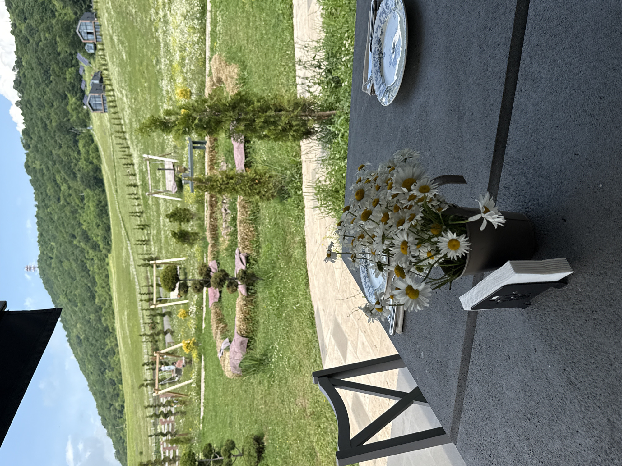 An outdoor table setting overlooks a grassy hillside with scattered wildflowers. The table is gray, with a black napkin holder filled with white napkins on the left. In the center, a bouquet of white daisies in a dark pot sits beside a plate and cutlery. A dark chair with a crisscross back is positioned at the table. In the background, a green hill rises, dotted with trees and modern houses. A playground with swings is visible in the mid-ground. The scene is likely at a restaurant or guesthouse in Dsegh, Armenia, offering a view of the natural landscape.