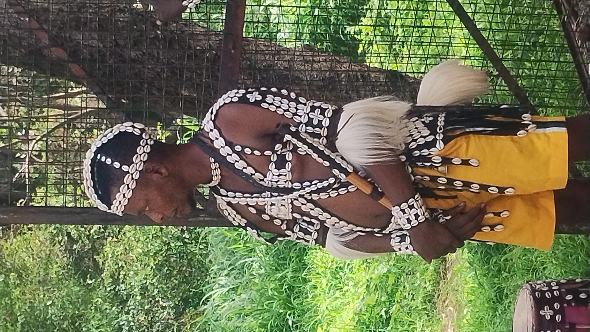 This media file shows a person, likely male, adorned in traditional attire featuring numerous white cowrie shells. The shells are meticulously arranged on a black head covering, a vest-like garment, and bracelets. A piece of white fur or hair is visible at the back of the head covering. The individual is also wearing a bright yellow garment, possibly a skirt or shorts, with several strings of cowrie shells hanging from its hem. In their hands, they hold a wooden stick or wand. The scene is set outdoors, with lush green foliage and trees in the background, partially obscured by a wire mesh fence. A wooden pole is also visible in the foreground. The lighting suggests it is daytime, with the sun illuminating the scene. The overall impression is of a cultural display or performance. The location is identified as Jos, Nigeria.