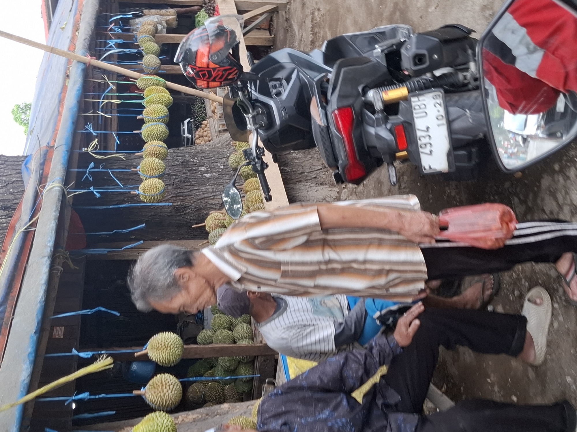 This is a medium shot, taken at street level, of a durian stall in Cibadak, Indonesia. The stall is set up outdoors, under a makeshift awning supported by wooden poles. Durians are displayed hanging from blue and yellow ropes under the awning, and also piled in baskets on the ground. A motorcycle is parked on the right side of the frame. The license plate on the motorcycle is visible and reads "F 4934 UBH 10-29".
In the foreground, an elderly man in a striped shirt is holding a pink plastic bag. To his left, a person in a dark patterned shirt is seated. Behind them, another person in a striped t-shirt is also seated. The ground is unpaved and appears to be dirt or gravel. The overall scene suggests a bustling market environment.