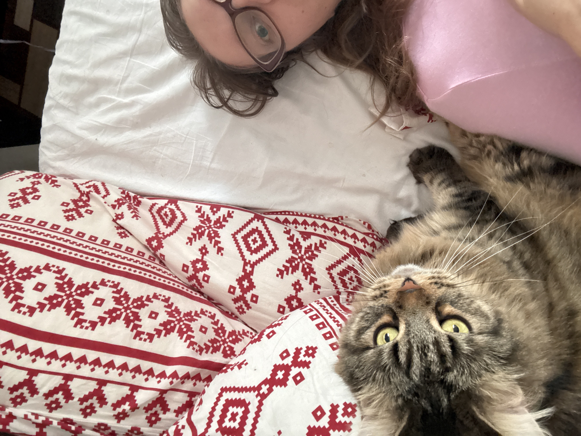 A woman and a cat are lying on a bed. The woman is wearing glasses and a pink shirt. The cat is brown and tabby. The bed has a white sheet and a red and white patterned blanket. The location is a bedroom, not specified to be in Izhevsk, Russia.
