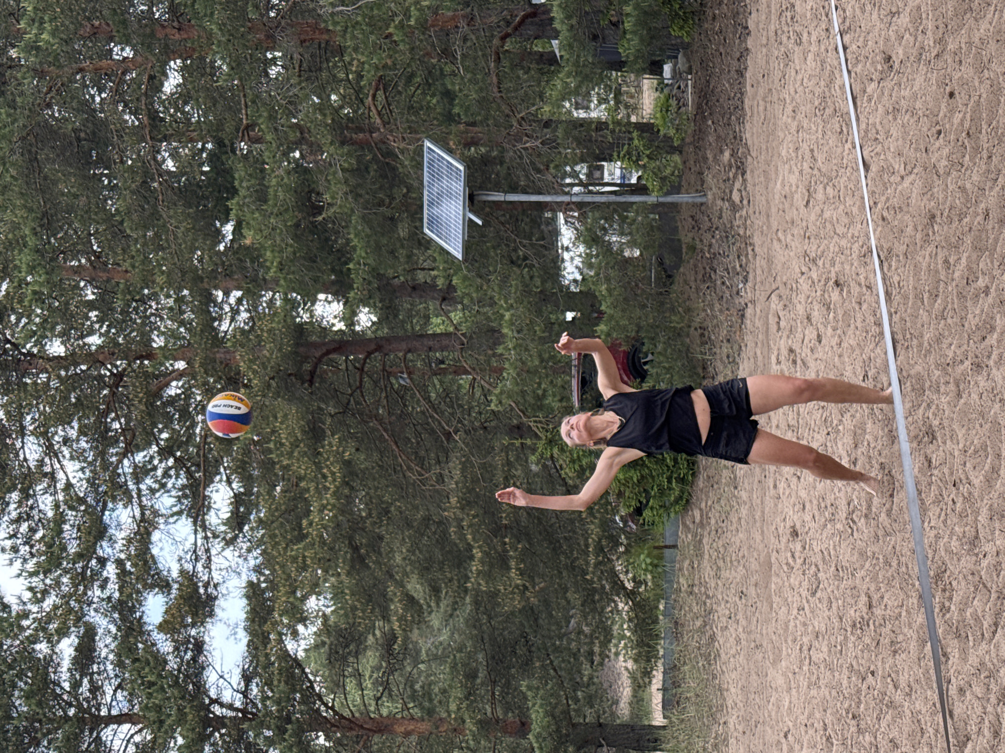 The image depicts an adult female engaged in a game of beach volleyball in Zelenaya Roshcha, Russia. She stands barefoot on a light brown sand court, wearing a black sleeveless top and black athletic shorts. Her light-colored hair is tied back, and she wears a necklace. Her body is oriented slightly to the left, with her head tilted upwards, eyes fixed on a multi-colored (red, white, blue, and yellow) volleyball suspended in the air above her head. Her arms are raised and bent at the elbows, hands open, positioned as if to set or pass the ball. The text 'BEACH PRO' is visible on the volleyball.
A white or silver boundary line/tape stretches across the foreground of the sand court. The background is dominated by a dense forest of tall coniferous trees, primarily pine, with their characteristic green needles and textured bark. A light, overcast sky is visible through gaps in the foliage. To the right, a rectangular solar panel is mounted on a tall, slender grey metal pole, angled upwards towards the sky. Hints of other structures, possibly recreational vehicles or buildings, and a red vehicle are partially visible through the trees further in the background.