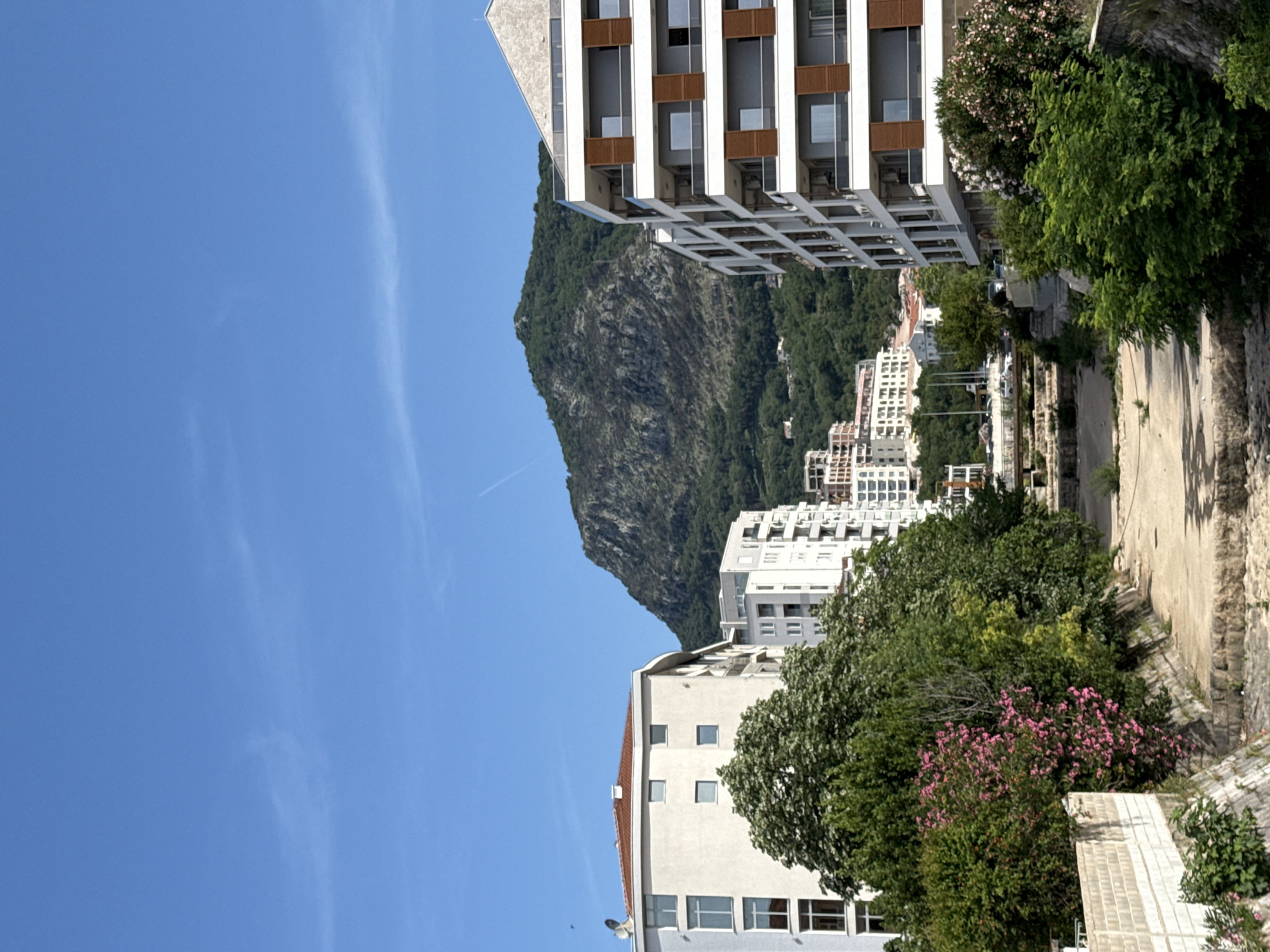 The image shows an urban landscape in Budva, Montenegro, with a mountain backdrop. Modern white buildings with prominent balconies are interspersed with older, lighter-colored structures. Lush green trees and shrubs are visible throughout the scene, some with pink flowers. A pathway, possibly a road or walking trail, borders a stone wall on the right side of the image. The sky is clear and blue, with faint contrails visible.