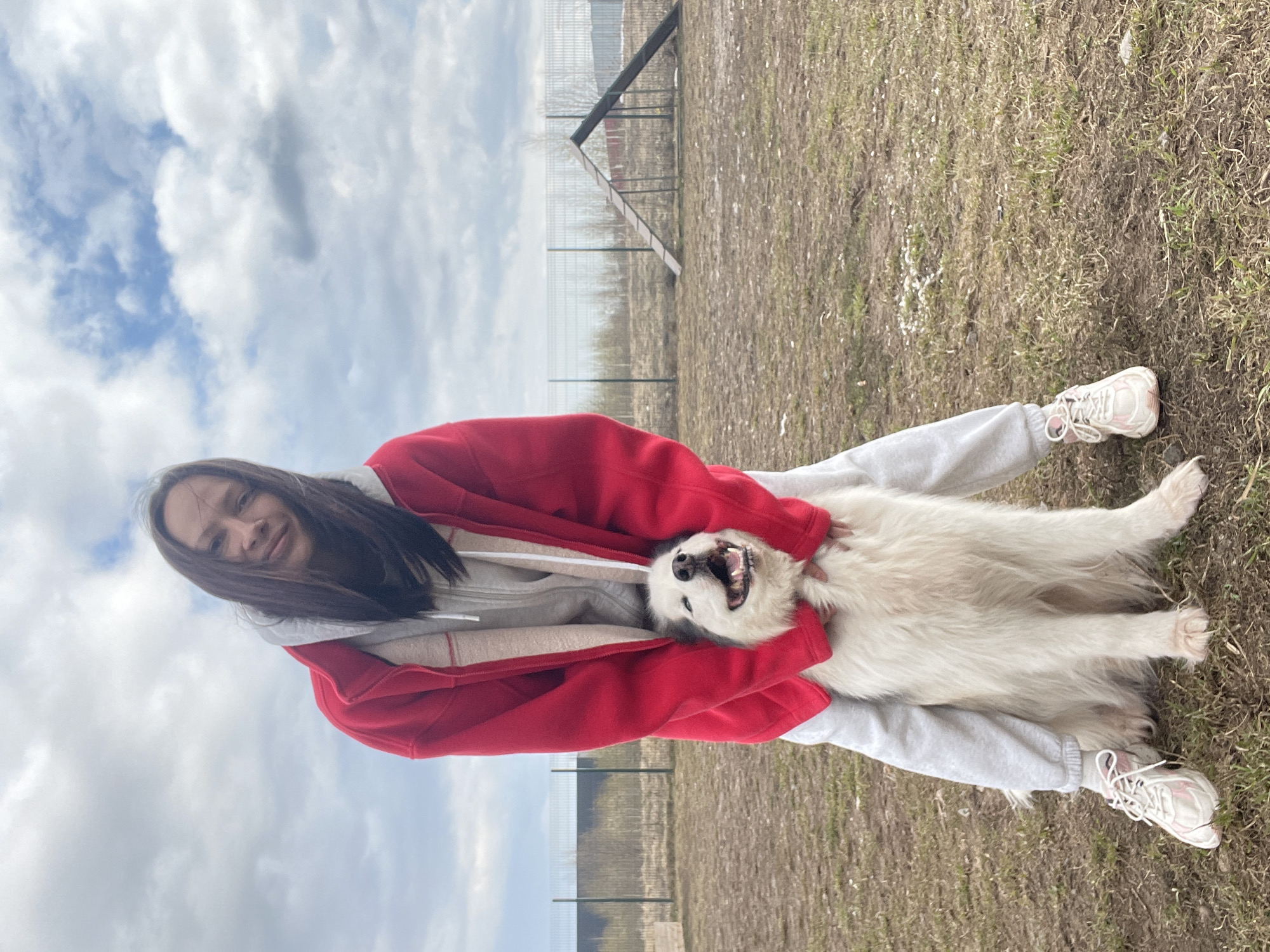 A young woman and a large white dog are captured in a joyful outdoor moment in Izhevsk, Russia. The woman, with long dark hair, is smiling warmly at the camera. She is wearing a bright red zip-up jacket over a grey hoodie, paired with grey sweatpants and white sneakers featuring pink accents. Her hands are gently placed around the dog's neck and chest, suggesting an embrace or playful interaction.
The dog, a fluffy white breed, likely a Samoyed or similar, is looking upwards with its mouth open, displaying its tongue and teeth in what appears to be an excited or happy expression. Both subjects are positioned centrally, with the woman appearing to be kneeling or bending down to interact with the dog.
The setting is an open, grassy area, with the ground covered in dry, sparse brownish-green grass, hinting at early spring or late autumn weather conditions. In the background, a fence runs horizontally across the mid-ground, beyond which stands a dark, angular structure that resembles an A-frame obstacle, possibly part of an agility course or a broken fence. The sky above is largely overcast with prominent white and grey clouds, but the scene is brightly lit, indicating daytime. There is no visible text in the image.