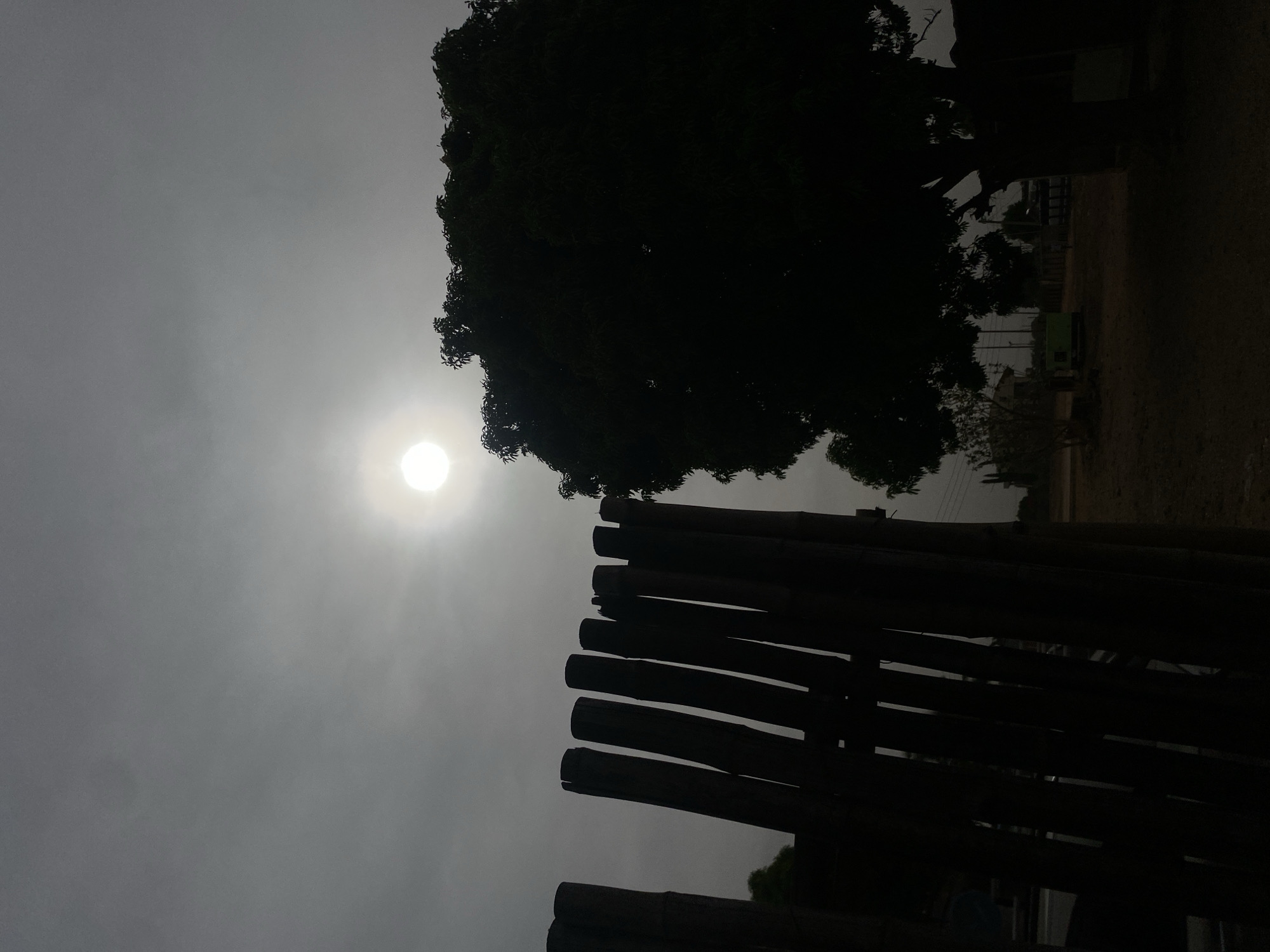This media file captures a silhouetted outdoor scene in Barden Yana, Nigeria, likely during sunrise or sunset. The image is oriented vertically (rotated 90 degrees clockwise from standard landscape viewing). The brightest element is the sun, a luminous circular disc positioned in the upper left quadrant, emitting a strong glare through a hazy or overcast sky that occupies the upper and central parts of the frame.
Dominating the upper right and central area is the dark silhouette of a large tree with dense foliage, its branches extending towards the sun. In the foreground, spanning the lower half of the image, is a dark, horizontal structure, appearing to be a fence or a section of a shelter, constructed from thick, horizontally placed logs or bamboo poles.
Due to the intense backlighting, the background elements are largely obscured in deep shadow. Faint outlines of distant structures, possibly buildings and utility poles, can be discerned on the right side behind the tree and fence, alongside what appears to be a patch of barren ground. No people are visible, and no specific activity is occurring. The atmospheric haze contributes to a serene yet dramatic mood. No text is visible in the image.