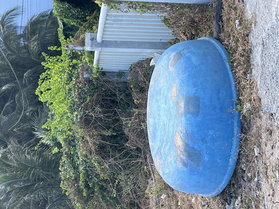 An inverted, weathered, light blue coracle (round Vietnamese basket boat) rests on dry, sparse ground in the city of Ninh Hòa, Vietnam. The coracle occupies the lower center of the frame, displaying patches of faded paint and wear. Behind it, a dense layer of wild vegetation, comprising both vibrant green leaves and dry brown vines, covers the midground. To the right, a white slatted fence with grey concrete posts is partially obscured by the overgrowth. In the background, dark green palm tree fronds are visible, suggesting a tropical environment. The scene is illuminated by bright daylight. No people or active interactions are present.