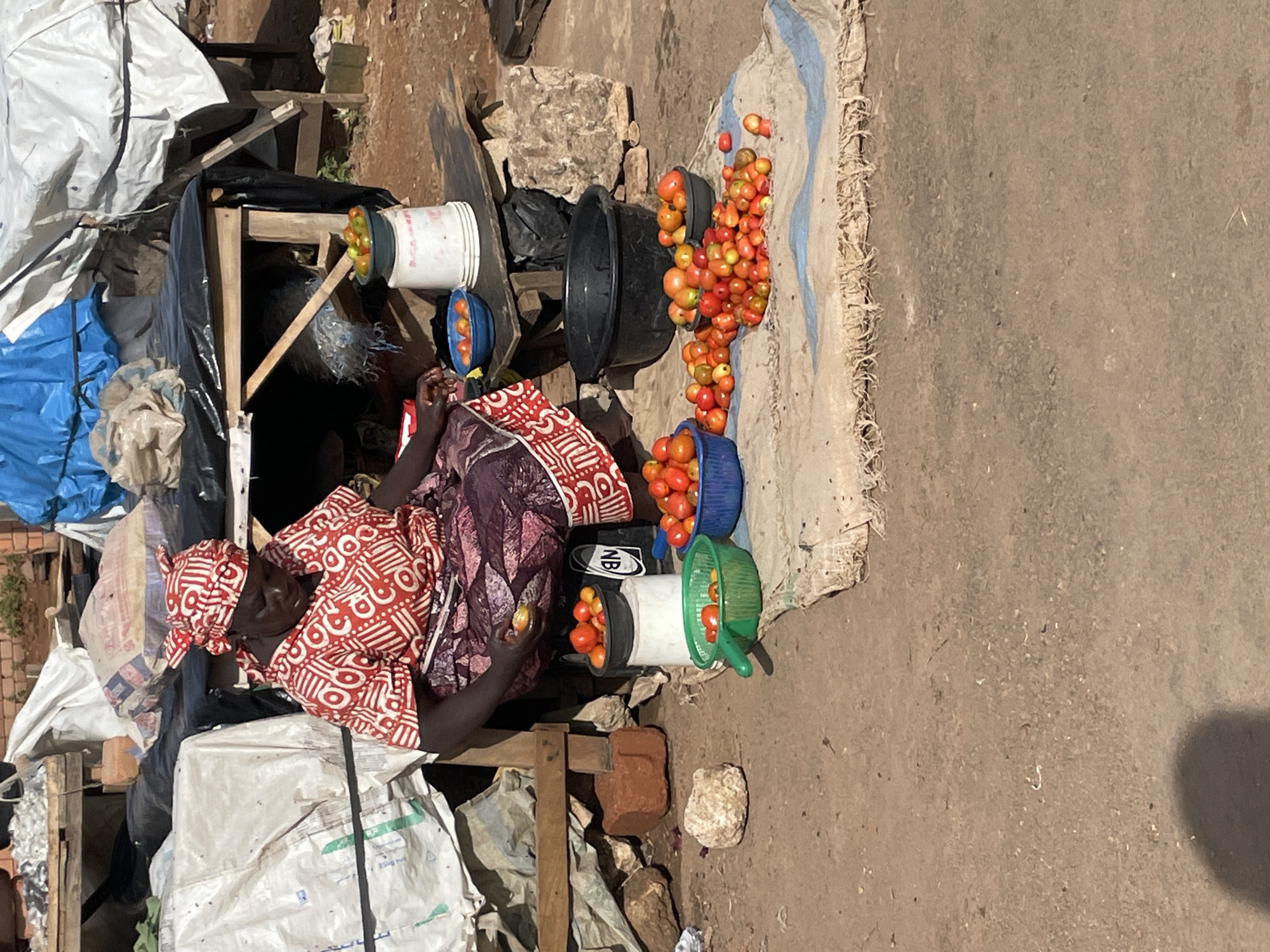 A dark-skinned woman wearing a red and white patterned headwrap and a matching red and white patterned top with a dark patterned skirt sits on a stool in what appears to be an outdoor market. She is holding a tomato in her right hand and examining it. Around her are several bowls and buckets containing tomatoes of various sizes and colors, predominantly red and yellow. A large black plastic basin is also visible behind her. The ground is a mix of dirt and sand, with some rocks and discarded materials scattered about. In the background, there are makeshift structures, possibly stalls, covered with tarps and plastic sheeting, suggesting a temporary or informal market setting. The overall environment appears to be dry and dusty.
