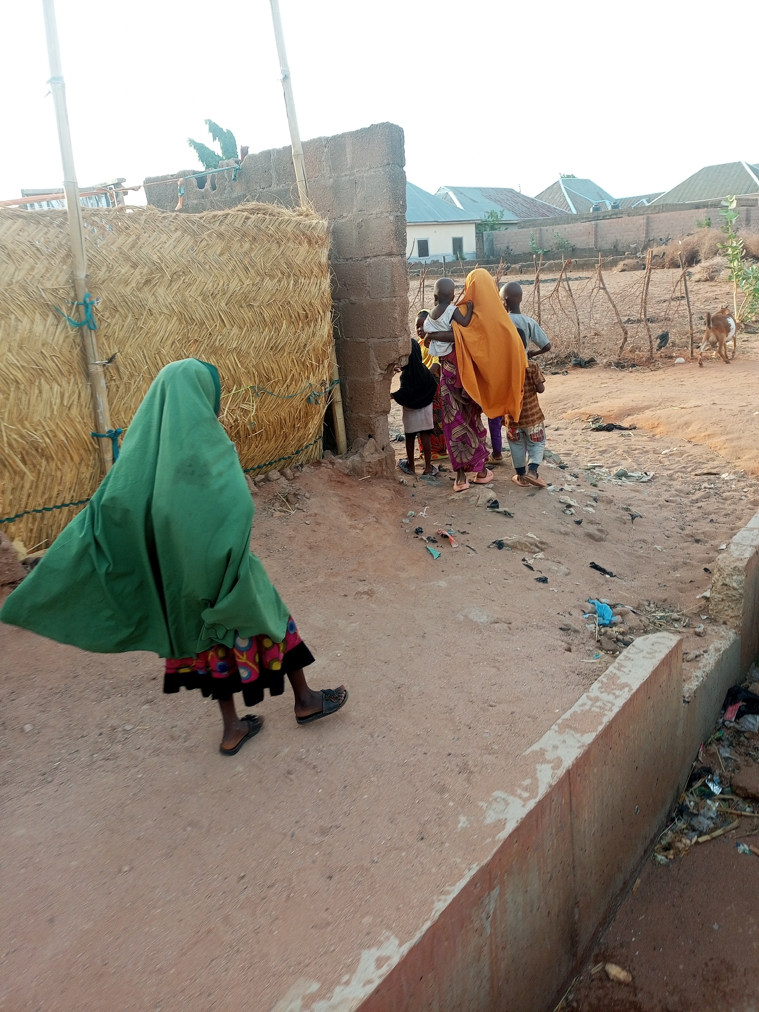 Outside, a person wearing a green head covering and colorful skirt is walking away from a group of children, one of whom is covered in an orange cloth. The group is standing near a mud wall. To the right is a goat in a dirt yard. The sky is light, indicating daylight. Buildings are visible in the distance. The location is Tempure, Nigeria.