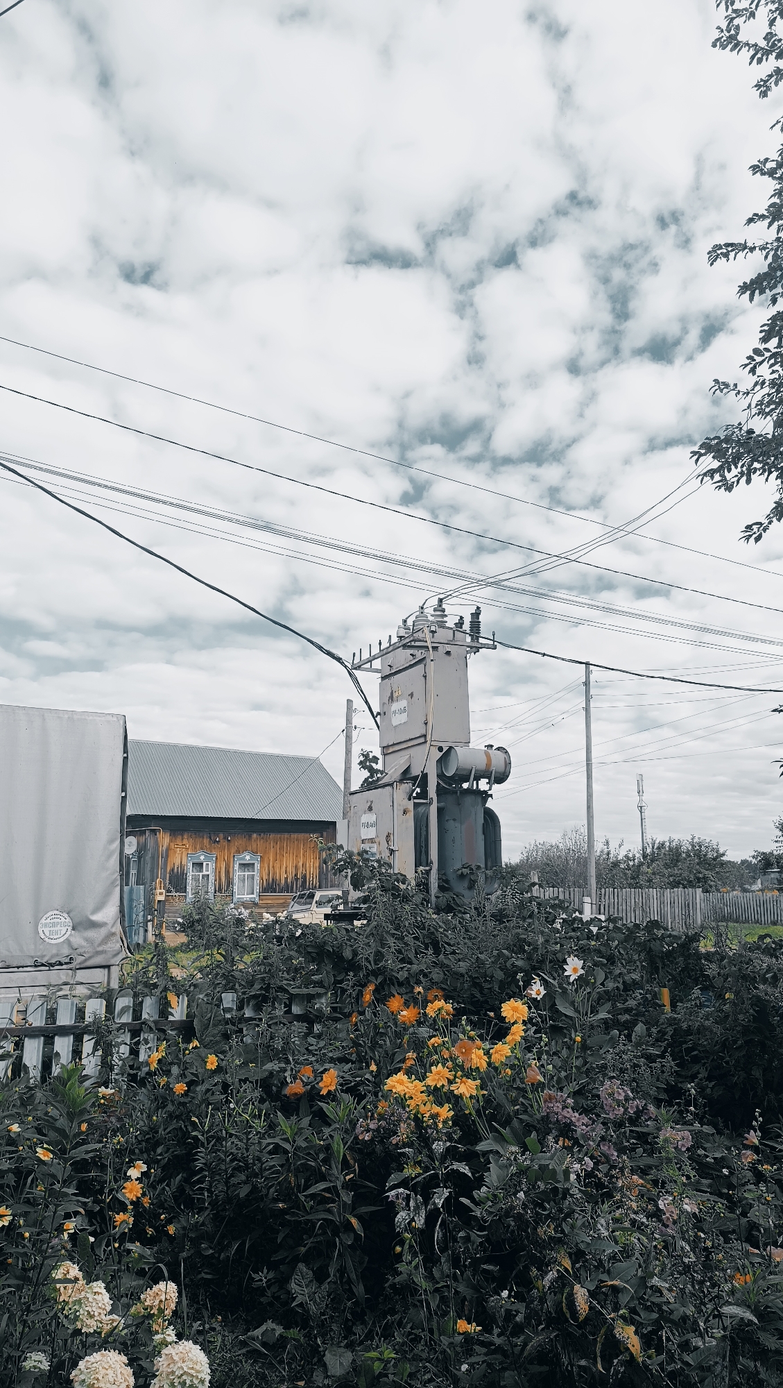 The image captures an outdoor scene with a transformer station and a wooden house in the background, possibly in the city of Karsha, Russia. In the foreground, a dense garden with blooming yellow and white flowers and lush green foliage creates a stark contrast with the utilitarian elements. Overhead, power lines crisscross against a cloudy sky. To the left, a large, grey tarp-covered structure, likely a vehicle or storage unit, is partially visible. A weathered wooden fence runs horizontally across the mid-ground, separating the garden from the area behind it. The wooden house, with its corrugated metal roof, features two windows and appears aged. The transformer station is a prominent grey industrial structure with various components, including cylindrical tanks and insulators. A light-colored vehicle is parked near the house. The overall impression is a blend of rural life and industrial infrastructure, set against a backdrop of natural beauty.