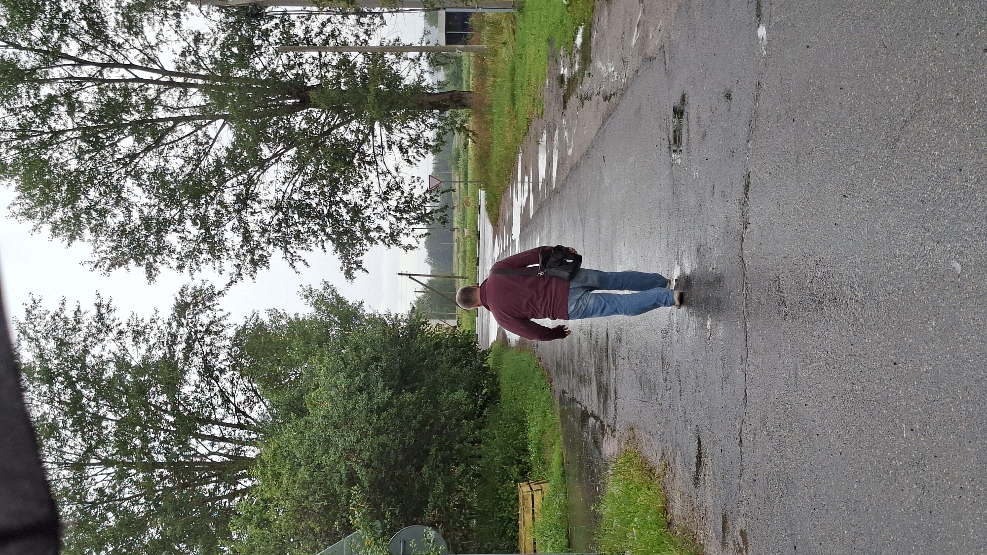 The image shows a man walking away from the camera down a wet, paved road in a rural area. He is wearing a maroon long-sleeved shirt and blue jeans, and he is carrying a black bag over his right shoulder. The road is lined with trees and grass, and there are puddles on the road, suggesting it has recently rained. In the background, there are some fields and a few utility poles. The sky is overcast. Based on the context provided, the location is the Zabalotski Sel'ski Savet, Belarus.