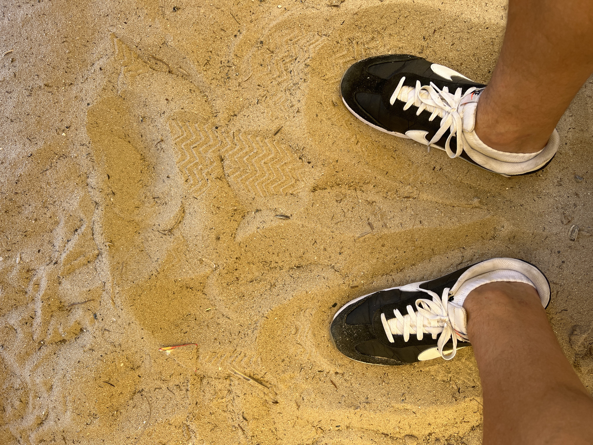 An overhead shot captures a person's lower legs and feet as they stand on a sandy surface. The subject is wearing black athletic shoes with white laces and white accents, along with white ankle socks. The Nike "swoosh" logo is visible on the side of each shoe.
The ground consists of light brown and tan sand, interspersed with small dark debris such as twigs and other minute particles. Distinct impressions, including partial shoe prints with a zigzag tread pattern, are visible in the sand, suggesting movement or previous steps. There are slight variations in the sand's texture and color, potentially indicating dampness or unevenness.
Among the sandy texture, a small piece of red and yellow litter, possibly plastic or paper, is visible towards the bottom left, along with other small, unidentifiable fragments. The lighting casts subtle shadows and highlights across the sand, suggesting an outdoor environment during daylight hours. The image focuses closely on the feet and immediate surroundings, capturing a moment of standing or walking on a sandy terrain like a beach or a designated sandy area.