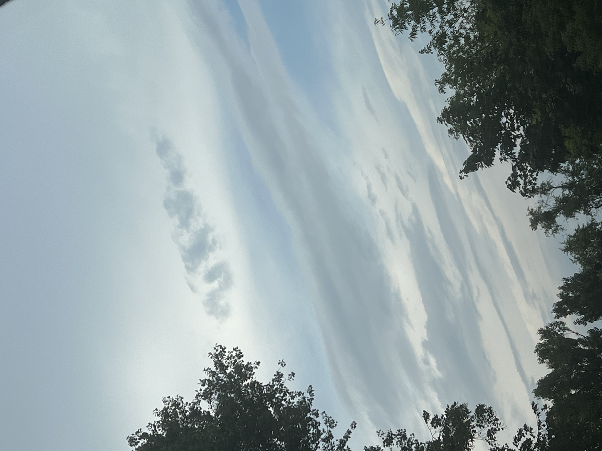 This is a photograph of the sky above Warsaw, Poland, taken from a low angle looking upwards. The sky is filled with various types of clouds, including long, wispy cirrus clouds and larger, more diffused cumulus clouds. The clouds are illuminated by soft, diffused light, suggesting it may be overcast or during twilight. The bottom of the frame is partially obstructed by the dark silhouettes of trees. The trees are dense and leafy, with the tops of their branches reaching into the sky. The overall impression is one of a natural scene, with the urban environment of Warsaw implied but not directly visible.