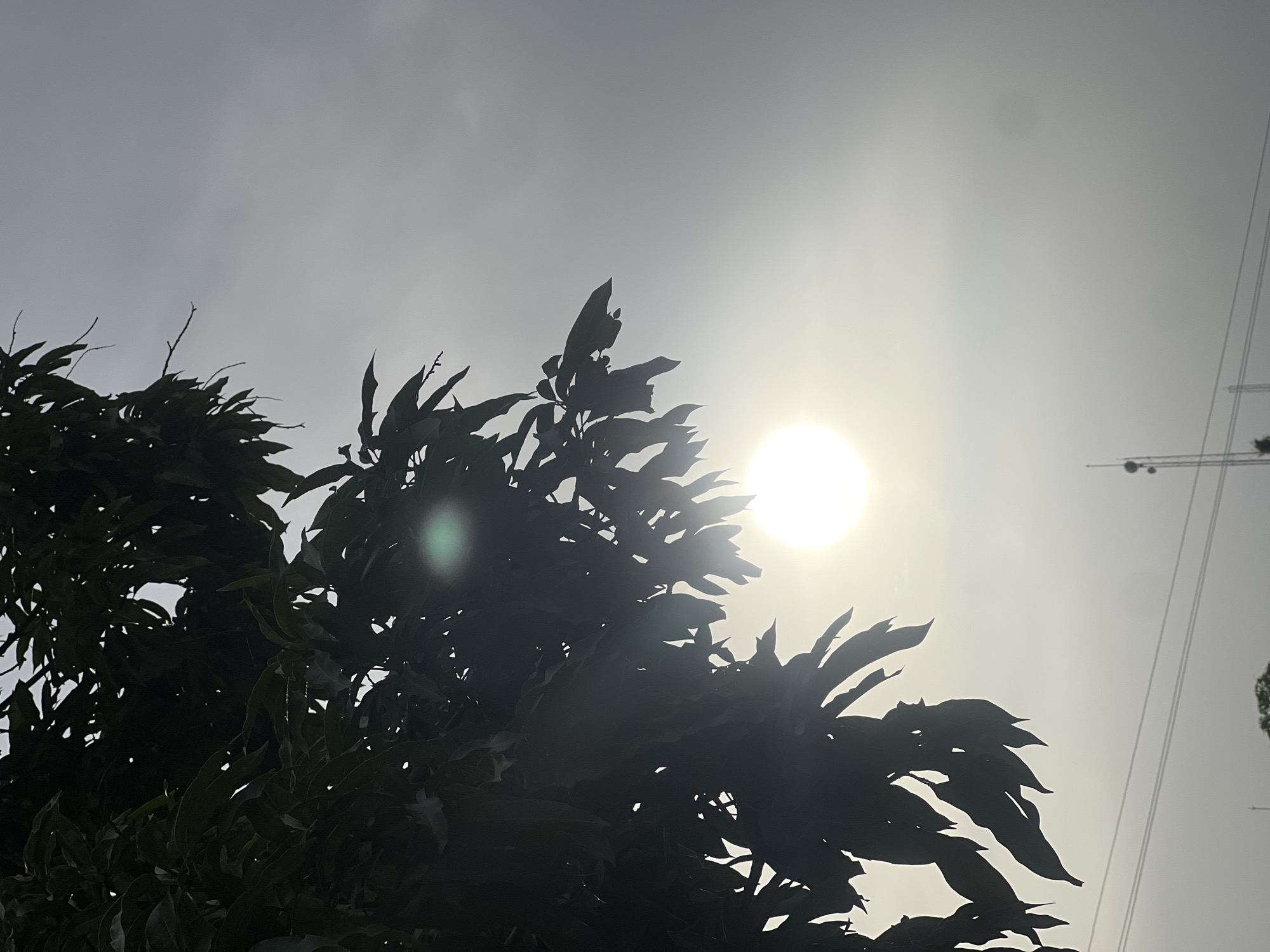 A photograph captures a heavily backlit scene, primarily featuring the silhouette of a large, leafy tree against a bright, hazy sky. The sun, appearing as an intense white orb, is positioned in the upper-right quadrant of the frame, casting a powerful glare and creating a lens flare. The tree, likely a mango tree common to regions like Jos, Nigeria, fills the lower and left portions of the image with its dark, undefined foliage and branches.
The sky is a uniform, light grey, suggesting an overcast or significantly hazy day, which diffuses the sunlight rather than revealing a clear blue sky. In the far upper-right corner, faint, slender lines are visible, possibly power lines or parts of a distant tower or crane, also rendered in silhouette against the bright backdrop. The time of day appears to be either late morning or late afternoon, characterized by the strong backlighting and the sun's position relative to the tree. No specific activities or individuals are depicted, and there is no visible text. The overall impression is one of natural light and form, with a high-contrast aesthetic due to the direct sunlight.