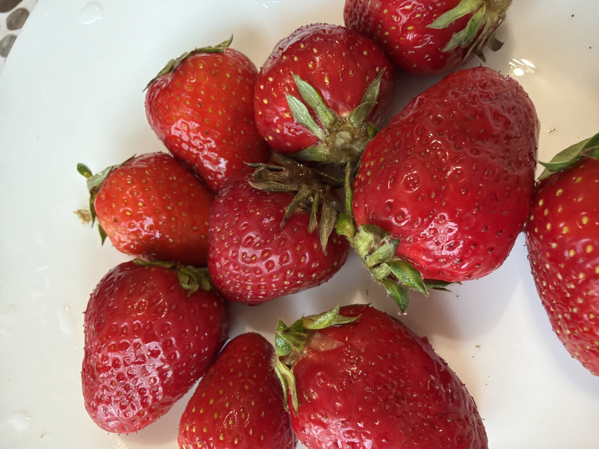 A close-up shot of several fresh strawberries arranged on a white surface. The strawberries are varying shades of red, from light to deep, and appear to be slightly wet, possibly from being recently washed. Most of the strawberries have their green leafy tops attached. The background is out of focus, but appears to be a light-colored, possibly tiled surface. There are no people or other objects visible in the frame. Location is not discernible from the visual information.