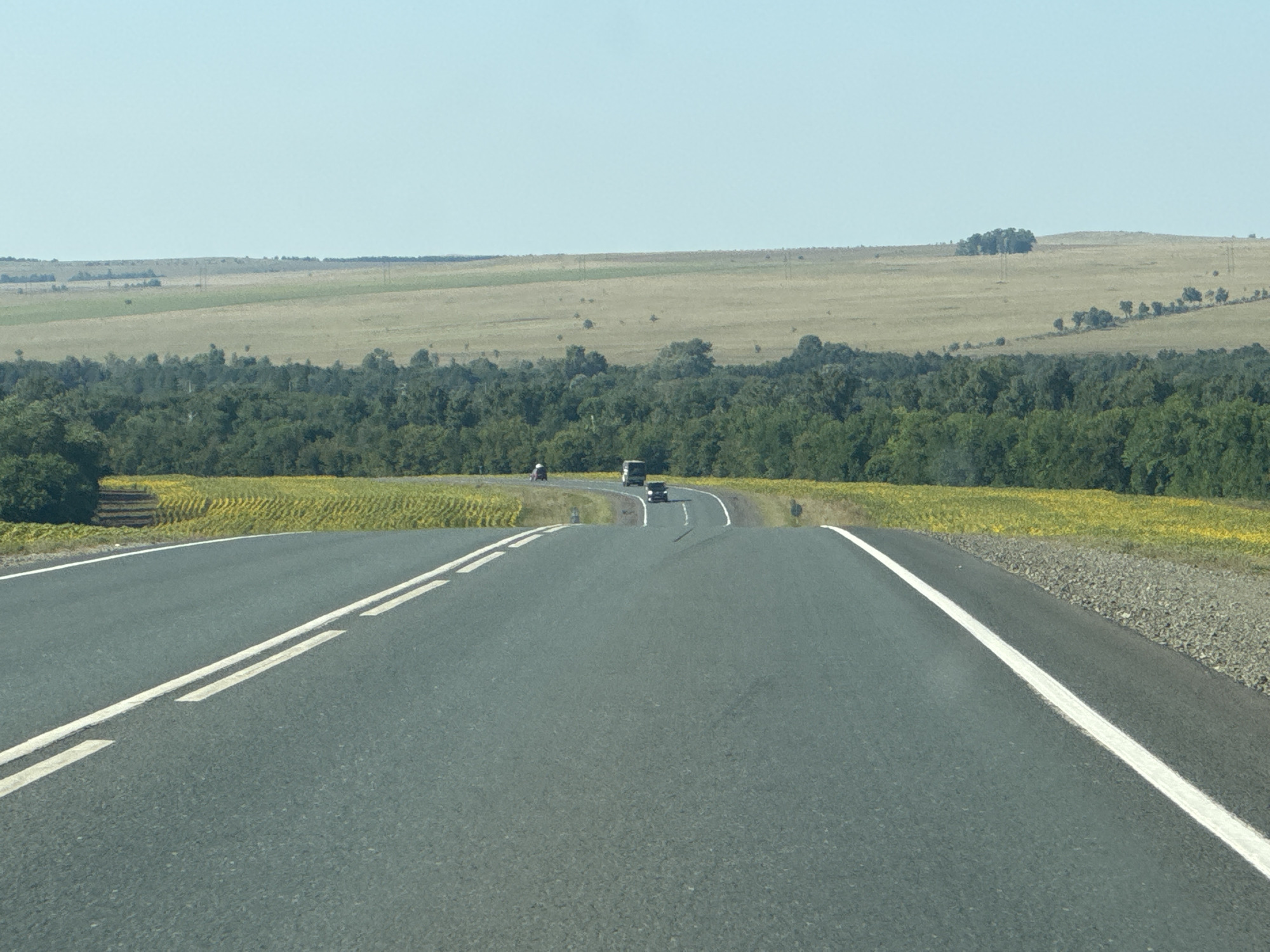 The image shows a two-lane asphalt road with white lane markings, leading into a gentle curve and uphill incline. On either side of the road, fields of yellow flowers, possibly sunflowers, are visible, bordered by a dense line of green trees. Beyond the trees, rolling hills covered in dry grass and scattered trees stretch to the horizon under a clear blue sky. A few vehicles, including a van and cars, are on the road ahead. Power lines are visible in the distance on the hills. The scene depicts a rural landscape in Perevolotsky, Russia, during daylight.