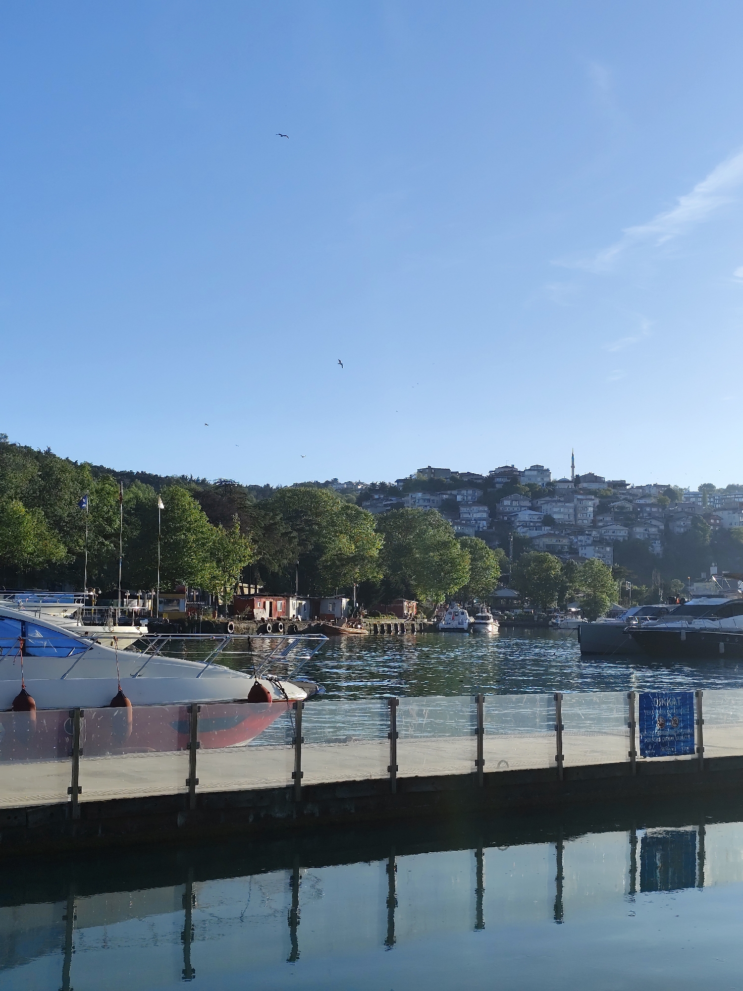 The image depicts a marina in Sarıyer, Turkey, on a clear day. The foreground features a pier with boats docked alongside. The pier has a transparent railing, and the water reflects the pier's structure and nearby objects. Several boats are visible, varying in size and type. In the background, a hillside is covered with lush green trees and residential buildings. The buildings appear to be clustered together, creating a dense urban landscape. The sky is a clear, light blue with a few birds soaring overhead.