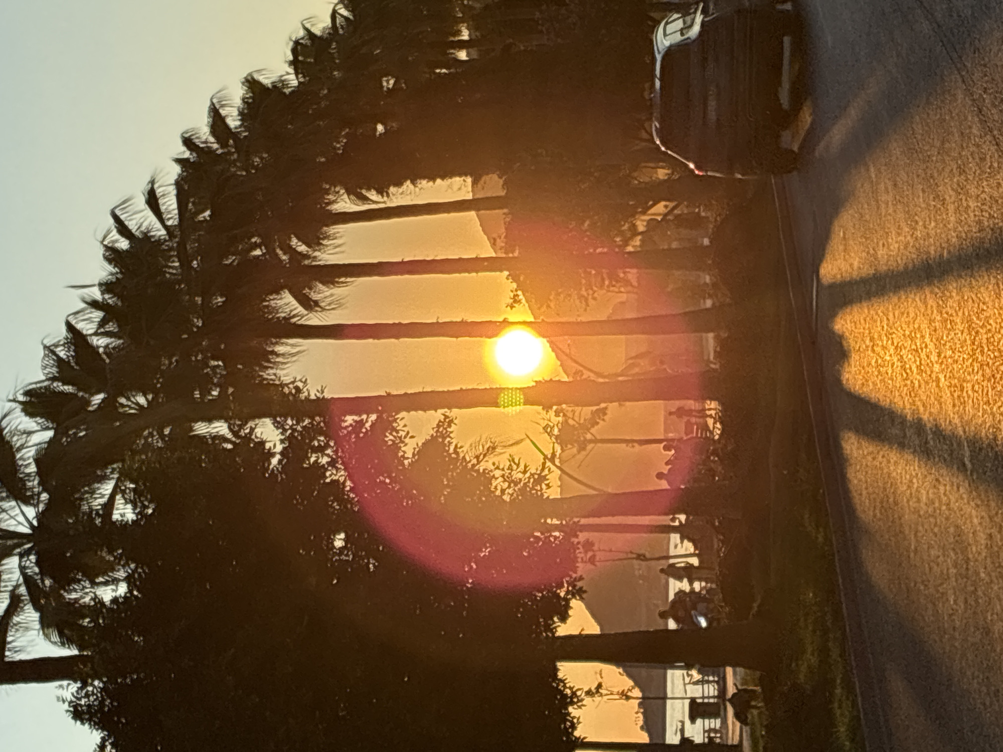 The image captures a scenic sunset in Alanya, Turkey, with the sun low on the horizon, casting a warm, golden glow. The foreground features an asphalt road, with long shadows stretching across it from unseen objects. A dark-colored SUV is parked on the right side of the road, facing away from the camera.
Behind the road, a pedestrian walkway is visible, lined with palm trees. Several people are seen walking or standing along the walkway, enjoying the evening. Some are silhouetted against the bright sky. In the background, the sea is visible, with boats moored at a distance. Mountains form a backdrop to the scene, with a building or structure visible on one of the slopes.
The atmosphere is serene and tranquil, with the soft light of the setting sun creating a peaceful ambiance. The presence of palm trees and the distant view of the sea suggest a coastal location, characteristic of Alanya. The overall impression is one of a relaxing evening in a beautiful Mediterranean city.