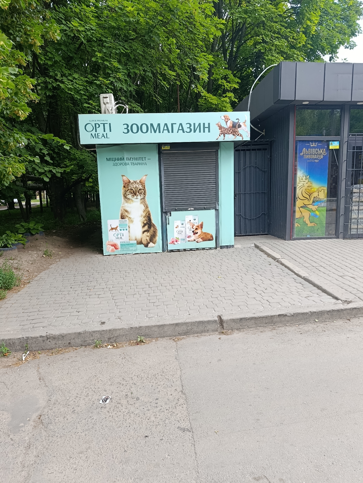 This is an eye-level, medium shot of a pet store kiosk in Dnipro, Ukraine. The kiosk is painted a light teal and has the words "OPTI 300MAFA3ИН" and "MEAL" on a sign above it. To the left of the kiosk, a large advertisement features a Maine Coon cat and a bag of pet food. To the right, a smaller advertisement displays a puppy and another bag of pet food. The kiosk is situated on a sidewalk made of brick pavers, with a street in front of it. Behind the kiosk, a building with a dark gray facade has large glass windows, one of which displays a colorful advertisement for "Львівська Пивоварня." The area is surrounded by trees, with lush green leaves visible in the background.