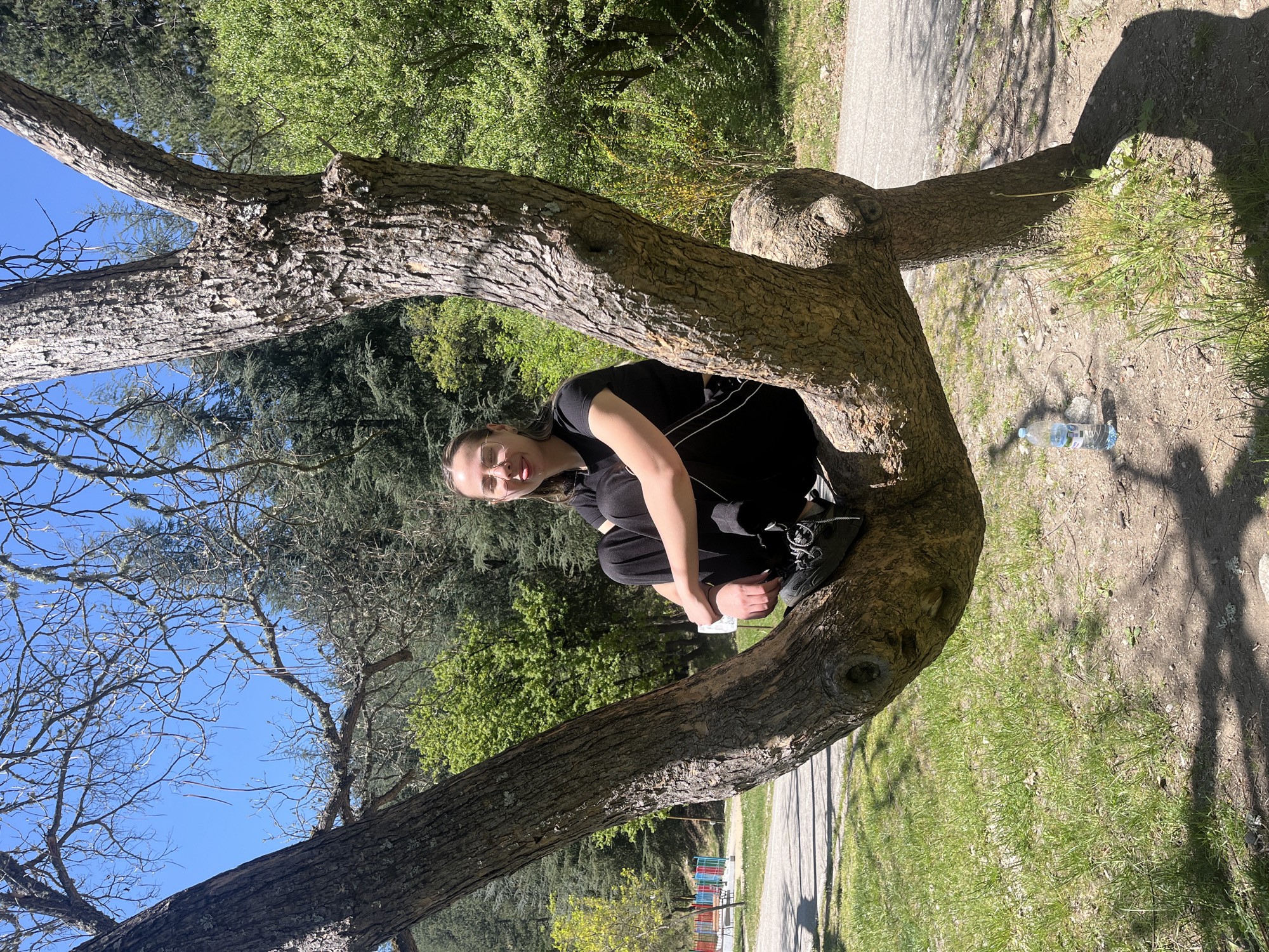 A young woman is sitting in a tree in Blagoevgrad, Bulgaria. The woman is wearing all black clothing and sneakers. The tree is a large, mature tree with thick branches. The background is a park with grass, trees, and a path. A water bottle is on the ground near the tree.