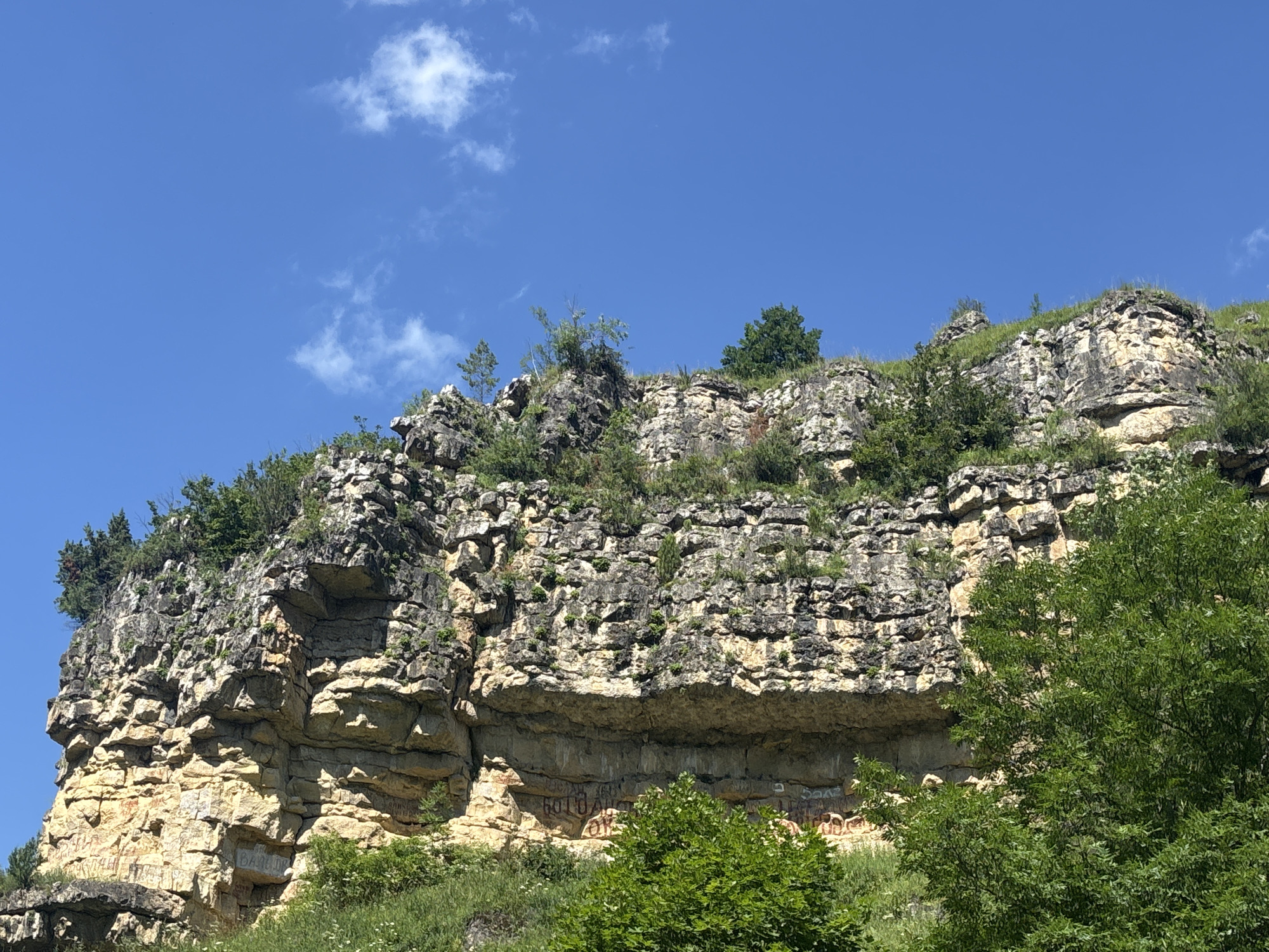 This image depicts a rocky cliff face with scattered vegetation, set against a clear blue sky with a few wispy clouds. The cliff exhibits distinct layers of rock, varying in color from light tan to darker gray. Some sections of the cliff face are covered in green foliage, including trees and smaller plants. There are instances of graffiti visible on the lower, lighter-colored sections of the cliff face. The foreground is occupied by lush green grass and trees. This scene is located in Kislovodsk, Russia, specifically at the "Rock of the Old Man" (Kamney Starika) natural monument.