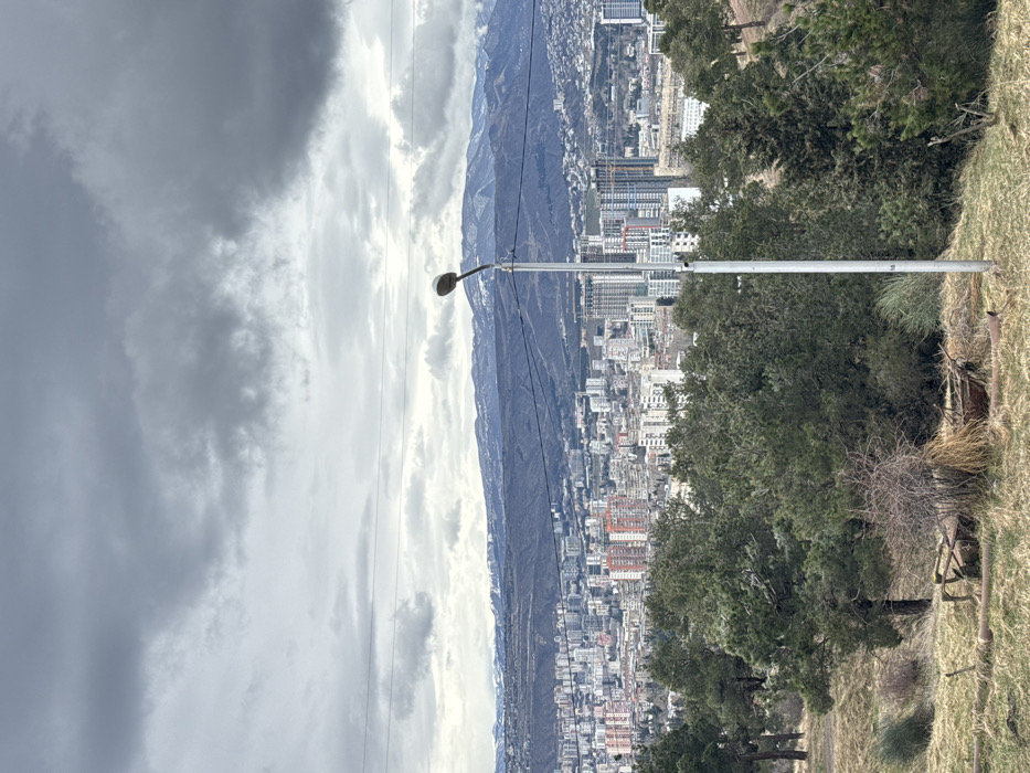 The image displays an elevated panoramic view overlooking the city of Tbilisi, Georgia, captured under a heavily overcast sky filled with dense, grey clouds.
The foreground consists of a dry, sloping hillside covered in sparse, yellowish-brown grass and undergrowth, punctuated by several dark green coniferous trees. A modern, light grey street light pole stands upright on the right side of the frame, extending into the middle ground. To the left of the pole, partially obscured by dry vegetation, lies a rusty, deteriorated metal object, possibly an old cart frame or piece of machinery.
The middle ground is characterized by a dense growth of dark green coniferous trees, forming a natural buffer between the immediate foreground and the urban expanse.
The background reveals a vast cityscape of Tbilisi, comprising numerous multi-story buildings, including dense residential blocks and several taller, modern high-rises, some with visible construction cranes. The city sprawls across undulating terrain, extending towards the distant horizon.
In the far background, a range of dark mountains, exhibiting patches of snow on their upper slopes, stretches across the skyline beneath the heavy cloud cover. Multiple thin, dark horizontal power lines are visible traversing the sky above the city and the distant mountains. No people, specific actions, or interactions are visible in the scene.