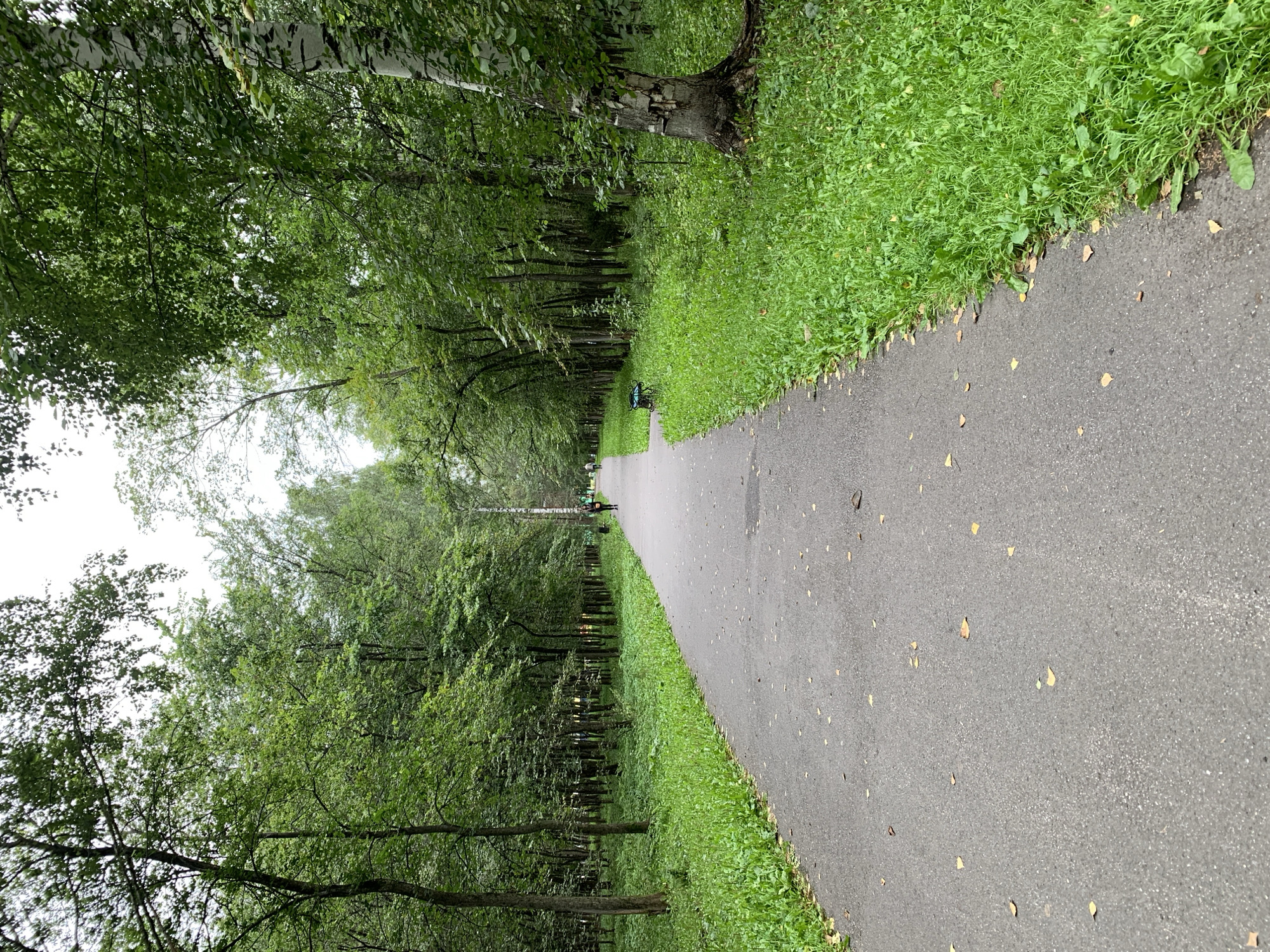 The image depicts a paved path in a park lined with lush green trees and grass. The path curves gently to the right, leading into the distance. Several people are visible walking or running along the path, and a bench is placed to the side. The overall impression is one of a serene, natural environment within an urban setting. The location is the "Central Park of Culture and Leisure" in Prokopyevsk, Russia, a popular spot for recreation and relaxation.