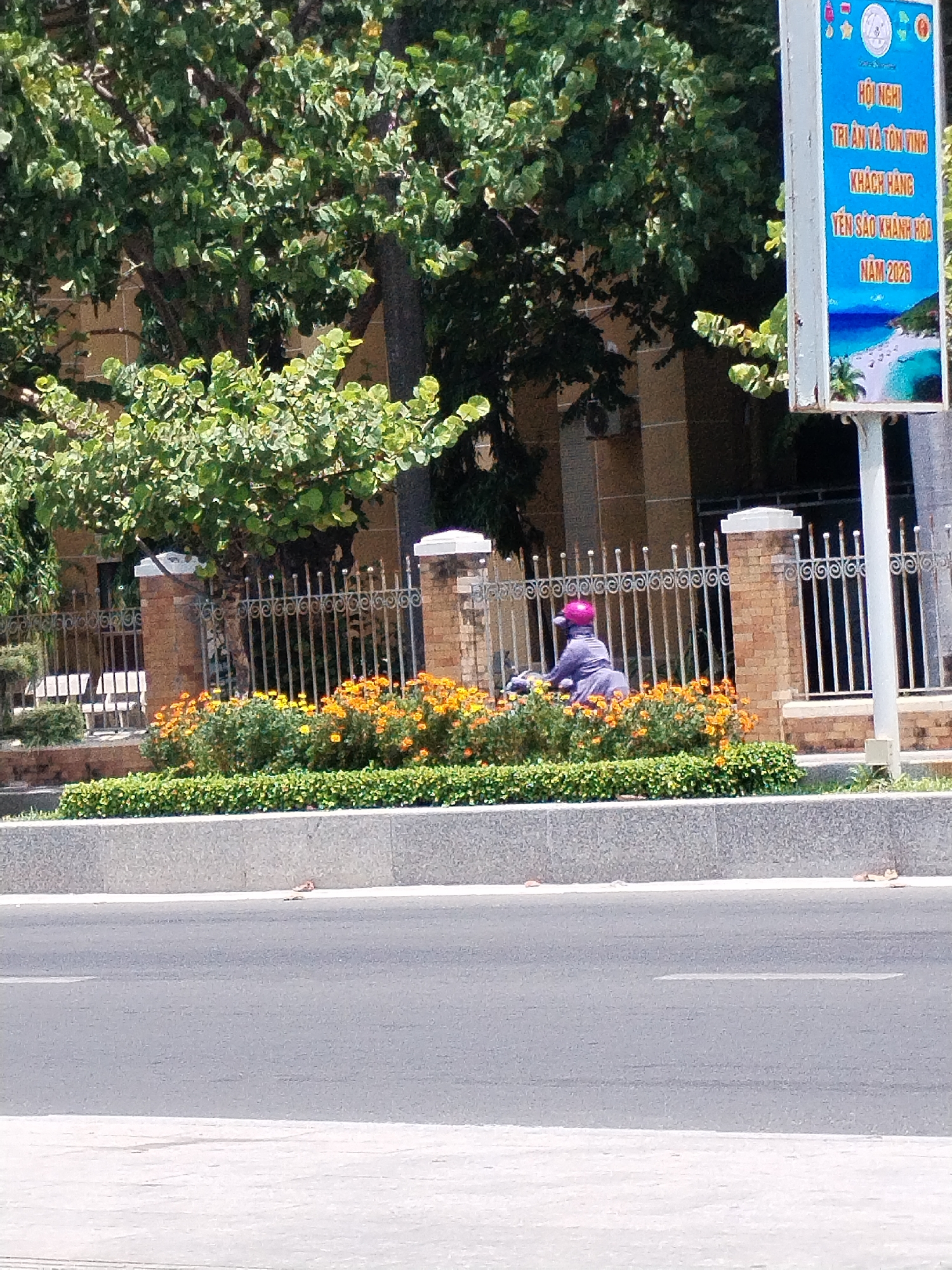 A person wearing a purple garment and a pink helmet is riding a motorcycle on a street in Nha Trang, Vietnam, near a fence with ornamental flowerbeds. A vertical blue signpost with Vietnamese text and a beach image is visible to the right of the frame. Trees and a building are in the background.