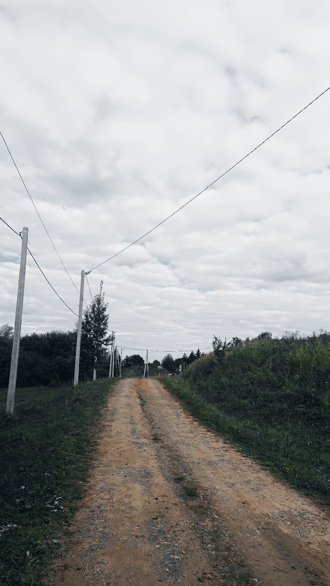 A dirt road stretches into the distance under a cloudy sky. On the left, telephone poles with wires are lined up along the side of the road. The road is flanked by grassy areas on both sides, with a dense line of trees visible in the background. The scene appears to be in a rural or semi-rural setting, possibly on the outskirts of Karsha, Russia. There are no people or animals visible in the image.