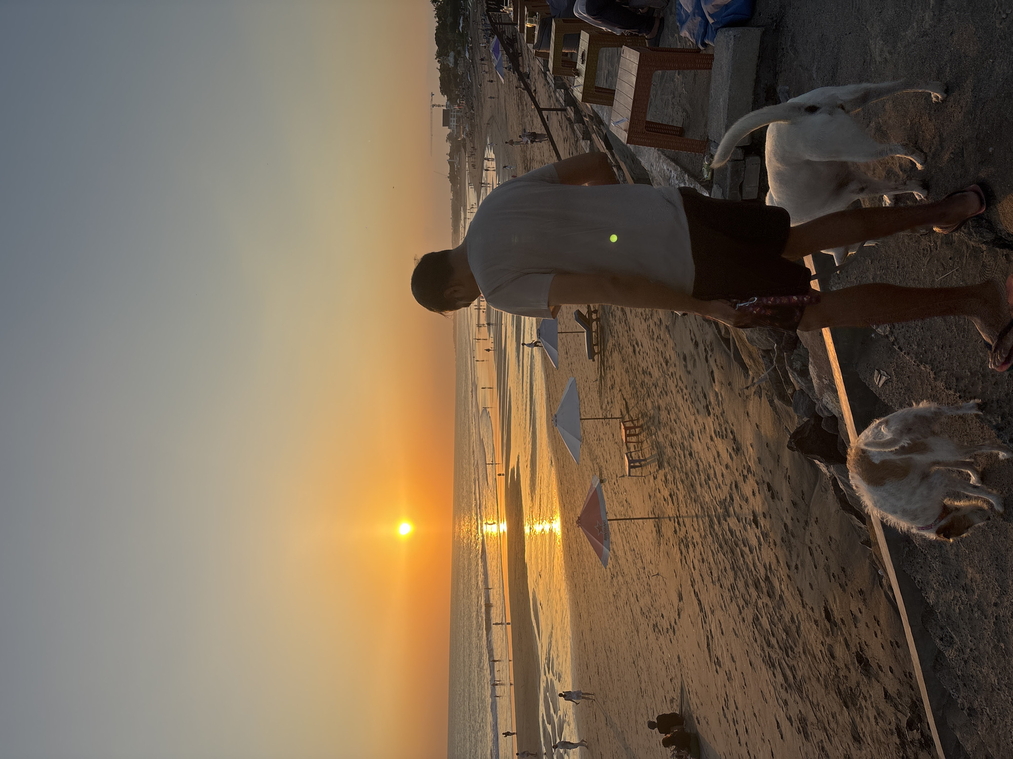 A man stands on a rocky incline overlooking a beach at sunset in North Kuta, Indonesia. The sun, a bright orange orb, is low on the horizon, casting a golden reflection across the water and wet sand. The beach is populated with numerous figures walking, sitting, and wading in the shallow surf. Two dogs are present in the foreground: a white dog with its tail raised and a smaller, white and brown dog sniffing the ground. In the middle ground, beach umbrellas and lounge chairs are set up. The background shows a coastline with buildings and construction cranes. The overall atmosphere is serene and warm, typical of a tropical beach evening.