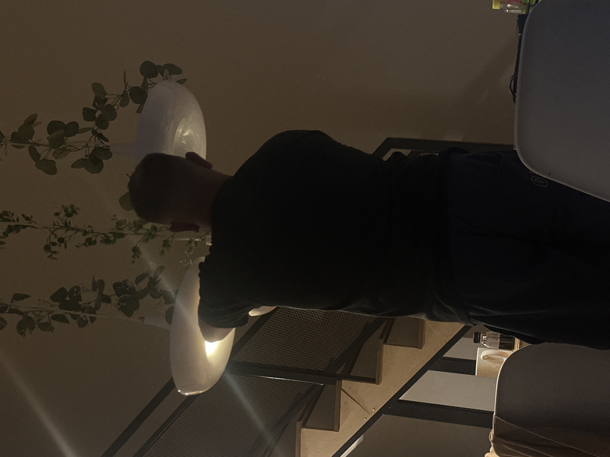 A person, seen from behind, is adjusting a white, circular light fixture hanging from the ceiling. The person is wearing a dark t-shirt and dark pants. The light fixture is illuminated from within, casting a bright glow. The background features a staircase with wooden steps and a black metal railing. Green vines with leaves are hanging from the ceiling, some near the light fixture. To the left of the staircase, a white mug and a small brown bottle are visible on a surface, along with a draped cloth. The overall lighting is dim, creating a warm and intimate atmosphere.