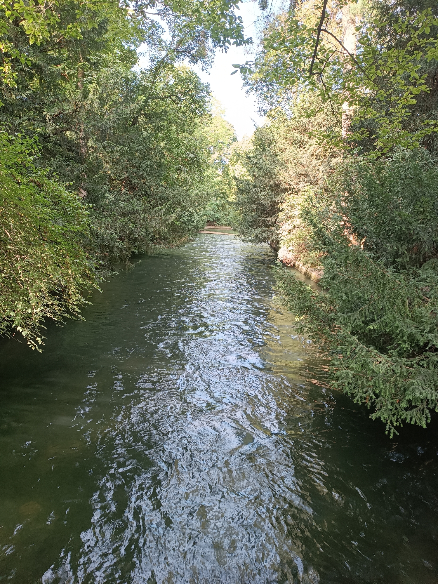 The image shows a view of the Eisbach river in the English Garden, Munich, Germany. The river flows from the background towards the viewer. It is surrounded by lush green trees and vegetation on both banks, with some sunlight filtering through the leaves, creating dappled light on the water. The water itself is a dark green color and appears to be flowing with moderate speed, indicated by the ripples and reflections on its surface. There are no people or any discernible man-made structures visible in this particular shot, suggesting it is a naturalistic scene within the park.