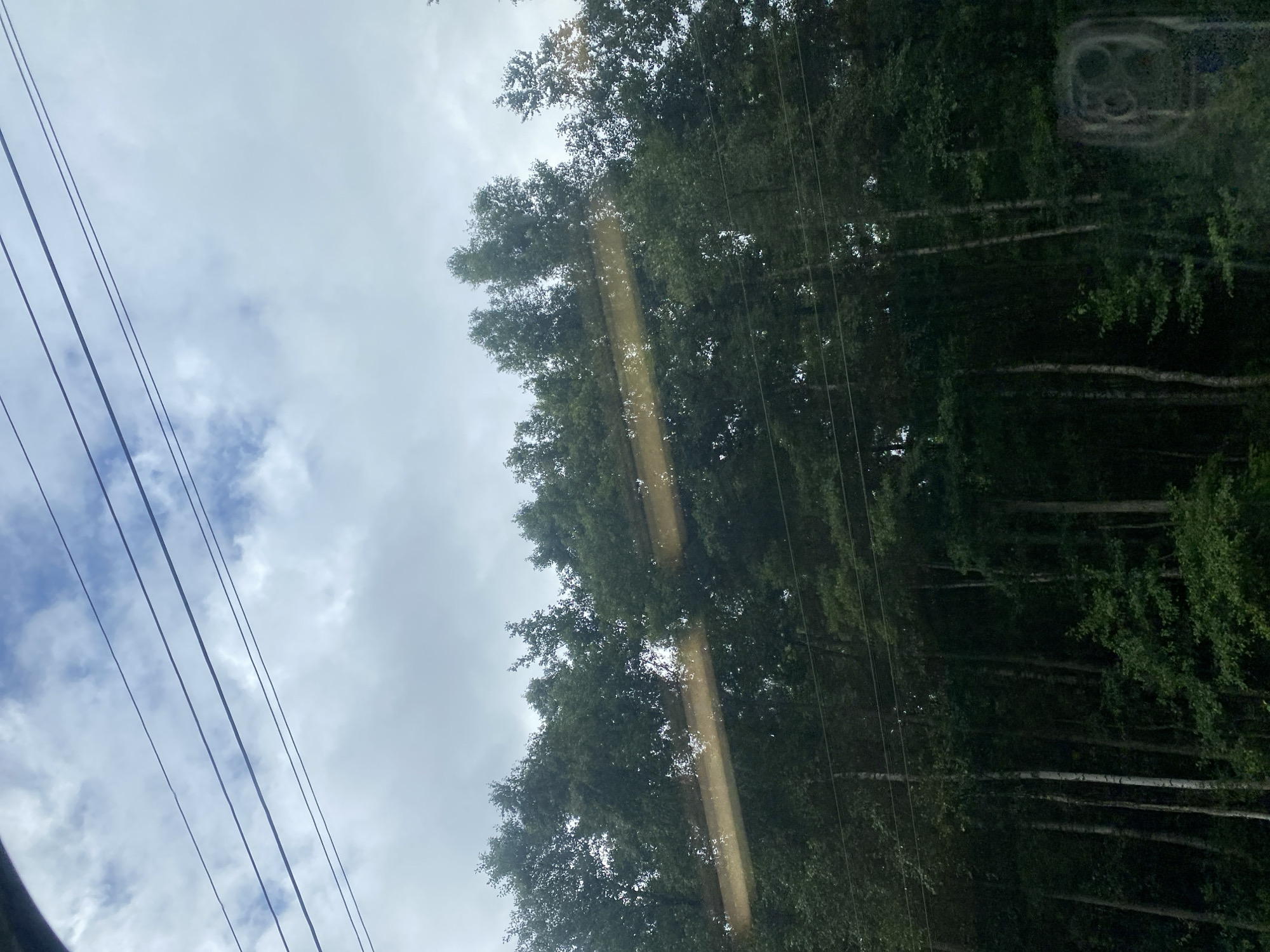 The image shows a dense forest with tall trees against a cloudy sky. Several power lines stretch across the upper part of the frame, running horizontally. A horizontal, yellowish glare is visible across the middle section of the trees, likely a reflection from a window or lens. The lower part of the image reveals more of the forest's undergrowth and the bases of the trees. In the bottom right corner, there is a blurry, circular smudge, possibly a fingerprint or a lens artifact. The scene appears to be captured from a moving vehicle, given the perspective and the nature of the glare. The location is not specified within the image itself, but the query asks to place it in the city of Dubna, Russia.
