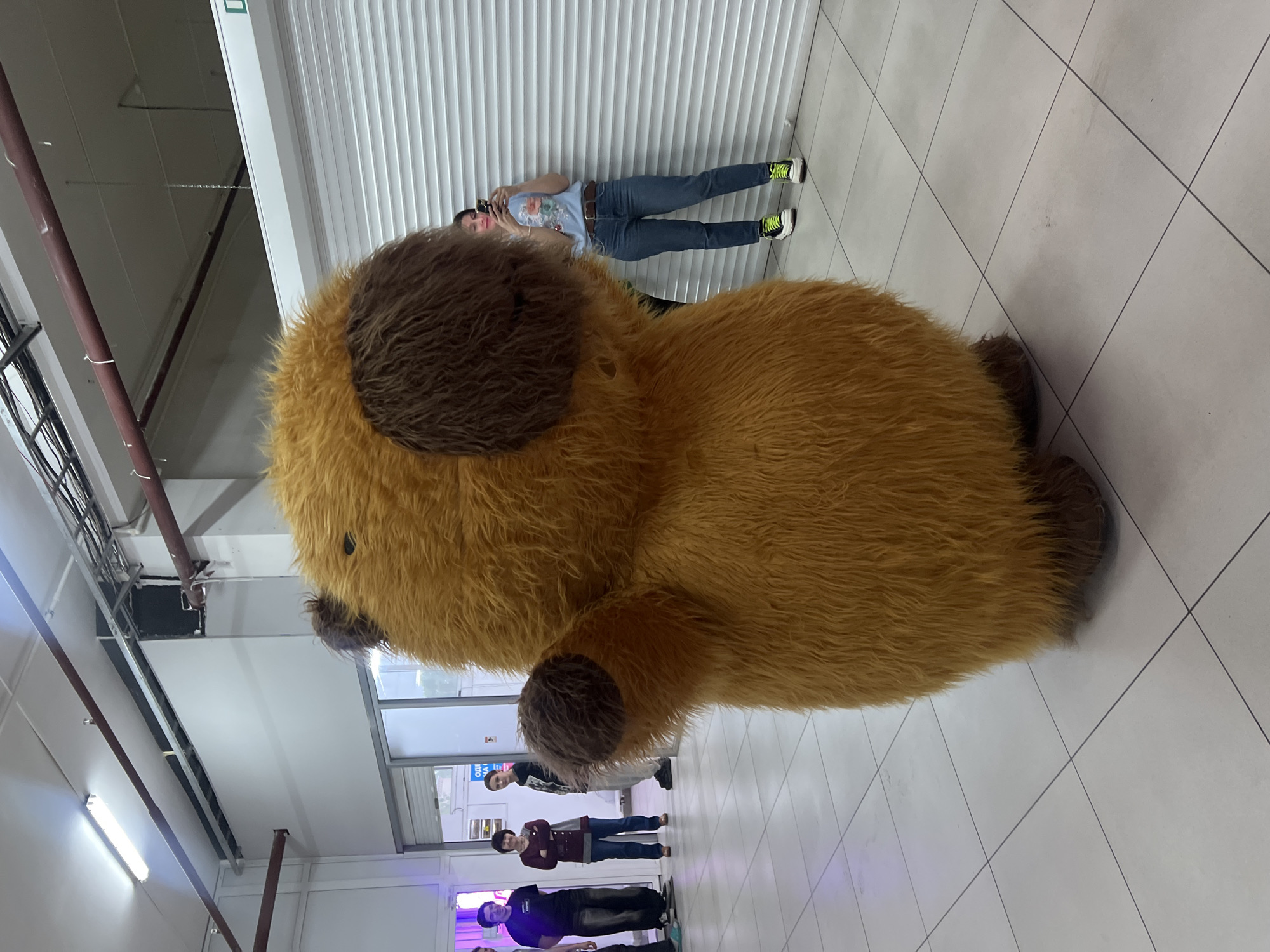 An indoor scene shows a large, furry, brown and tan stuffed animal, resembling a dog or bear, lying on its side and dominating the foreground. The stuffed animal has shaggy fur and dark brown patches for ears and paws.
In the background, several individuals are visible. One person is standing against a white, ribbed wall, holding a smartphone, seemingly taking a picture or video. This person wears a light blue t-shirt with a floral design, blue jeans, and bright green and black sneakers. Further back, three other people are standing. One is in a dark shirt and jeans, another in a dark red top and jeans, and a third in a black t-shirt and dark pants.
The setting appears to be a commercial or public indoor space, characterized by a light-colored tiled floor with dark grout lines, a white ribbed wall, and a ceiling with exposed metal conduits and bright fluorescent strip lighting. The overall lighting is artificial and bright. The activity suggests people are observing or interacting with the large stuffed animal, possibly at an event or exhibit. There is some blurry, unreadable text on a sign behind the people in the distant background. The image is oriented sideways.