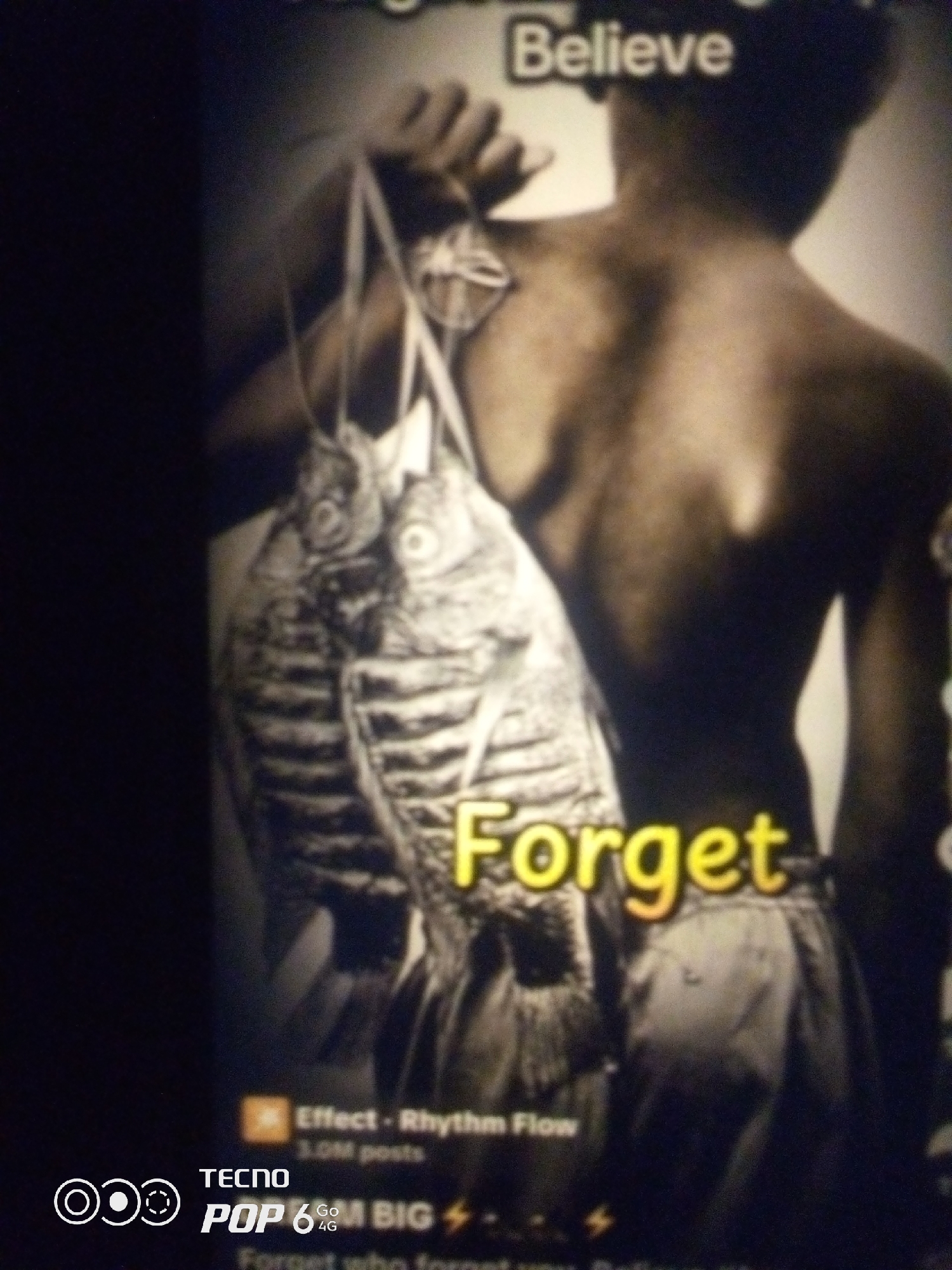 The image is a blurry, low-light photograph of a person's back, from the shoulders down. The person is carrying two dead fish on a string over their shoulder. The fish are large and appear to be tilapia. The person is wearing a light-colored garment around their waist. There is text overlaid on the image. In the upper right corner, the word "Believe" is visible in white text. Near the bottom center, the word "Forget" is visible in yellow text with a red outline. Further down, there is text that appears to read "Effect - Rhythm Flow" and "3.0M posts", and also "TECNO POP 6 Go 4G". The image is not clear enough to provide details about the person's race or age. The background is dark and indistinct, making it impossible to determine the environment or location. There is no visual information to suggest the image was taken in Howayi, Nigeria.