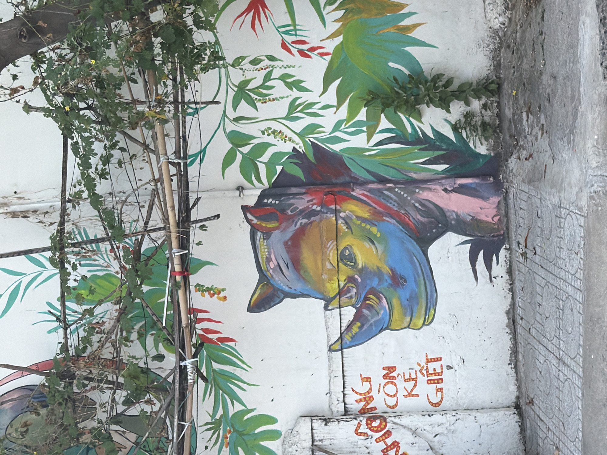 The image shows a colorful mural of a rhinoceros head painted on a white concrete wall. The rhinoceros is depicted with vibrant blues, yellows, reds, and pinks. It is surrounded by painted green foliage, including large leaves and hanging vines with small red and yellow berries. The wall also features some text in orange lettering on the left side, partially obscured by the rhinoceros mural, which reads "KHÔNG CÒN KẺ GIẾT". Below the wall is a concrete sidewalk with a patterned surface. Some real green vines and branches from an overhead tree are growing and intertwined with a bamboo structure in front of the wall, partially covering the mural and the text. The scene appears to be an outdoor urban environment, likely a street or alleyway. The style of the mural suggests it is contemporary street art.
This mural is located on the exterior wall of the Nha Trang Central Post Office in Nha Trang, Vietnam.