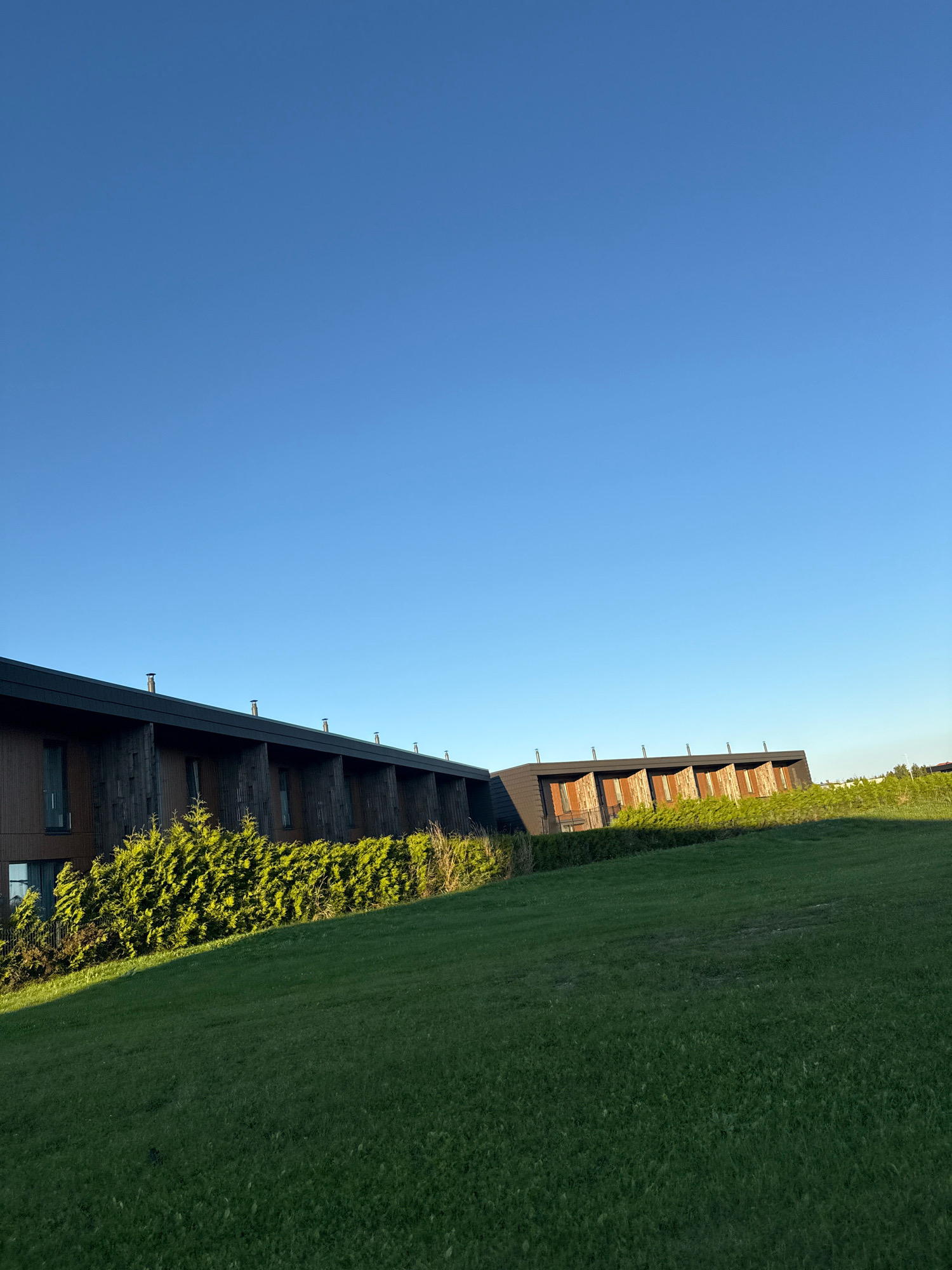 The image shows a residential building with a dark roof and wooden facade, situated in Järveküla, Estonia. The building has multiple windows and chimneys visible on the roof. In front of the building, there is a row of evergreen trees that forms a hedge. A large green lawn with a gentle slope occupies the foreground, bathed in sunlight. The sky above is clear and blue, indicating a sunny day. The scene appears to be a peaceful, outdoor setting.