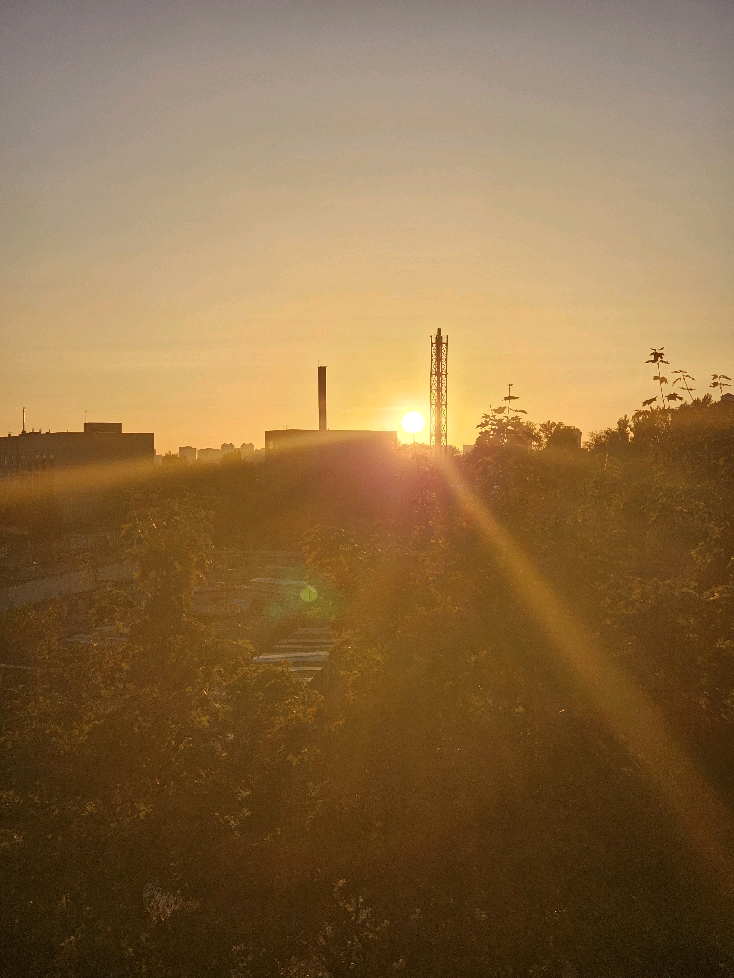 The image depicts a sunrise over the city of Khimki, Russia. The sun is a bright orb low on the horizon, casting long rays of light that streak across the scene. In the foreground, dense foliage is silhouetted against the golden sky. Behind the trees, industrial buildings and a tall transmission tower are visible. The sky transitions from a pale orange near the horizon to a muted gray at the top of the frame. There are no people visible in the image. The overall impression is one of an industrial urban landscape bathed in the warm glow of the rising sun.