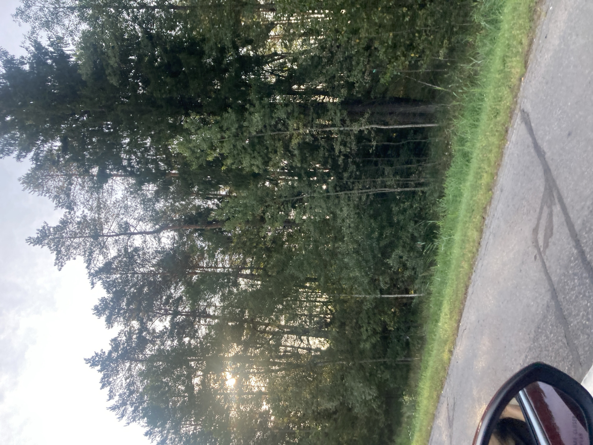 The image shows a roadside view of a dense forest on the right side of a paved road. The sun is shining through the trees, creating dappled light. The road has cracked asphalt and is bordered by a strip of grass. A portion of a dark red car's side mirror is visible in the lower left corner of the image. The environment appears to be rural, and the trees suggest a temperate climate. The scene does not contain any people or evident human activity beyond the road. The location is specified as Стайкаўскі сельскі Савет, Belarus, which is a rural administrative region.