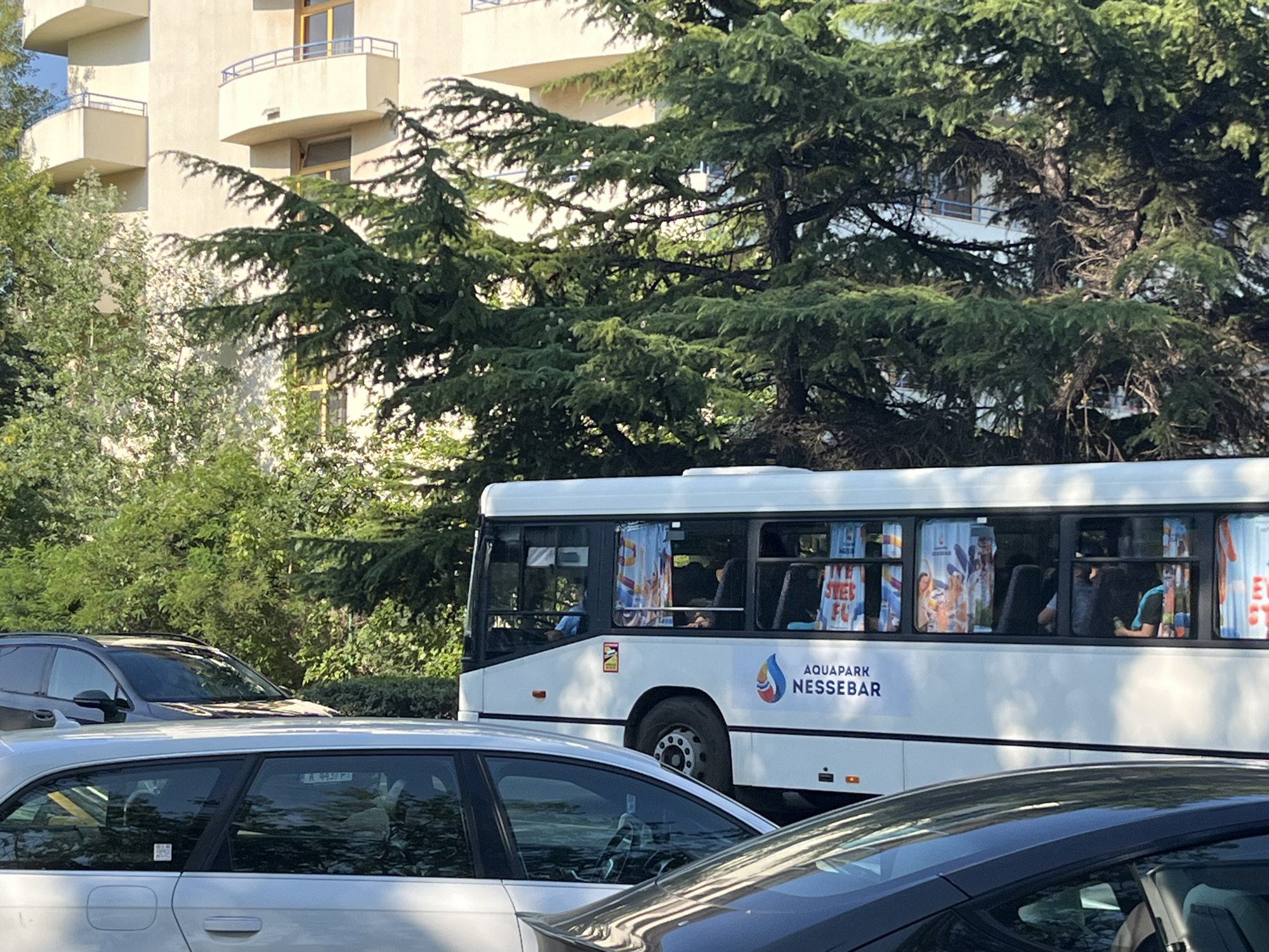 The image depicts a street scene in Nesebar, Bulgaria, focusing on a white bus with "AQUAPARK NESSEBAR" branding on its side. The bus is stationary, partially obscured by other vehicles in the foreground, including a silver car and a dark-colored SUV. Large green trees with dense foliage dominate the background, with a multi-story building visible behind them. Several people are visible inside the bus through its windows, some appearing to be passengers. The bus has large windows with colorful curtains displaying aquatic-themed imagery. The overall impression is a sunny day in a tourist-oriented location.