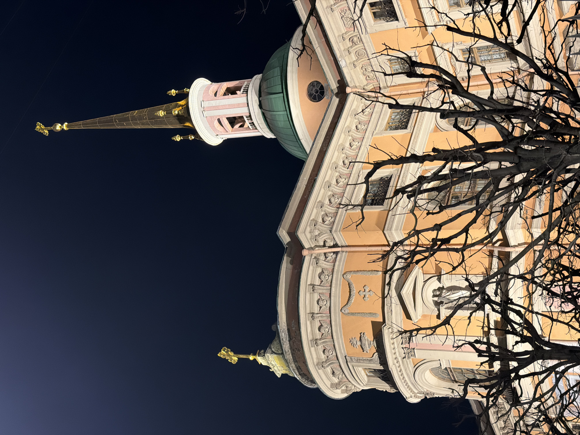 The image captures a building at night in St. Petersburg, Russia, possibly the Smolny Cathedral or a similar architectural structure. The building is predominantly peach-colored with white architectural details and a green dome. It has a tall, golden spire atop the dome, pointed towards the dark blue sky. A bare tree with dark, intricate branches is present in the foreground, partially obscuring the building. The scene is illuminated by artificial light, highlighting the building's features and creating strong contrasts with the dark sky. There are visible architectural details, including windows, decorative moldings, and structural supports. The composition is oriented vertically.