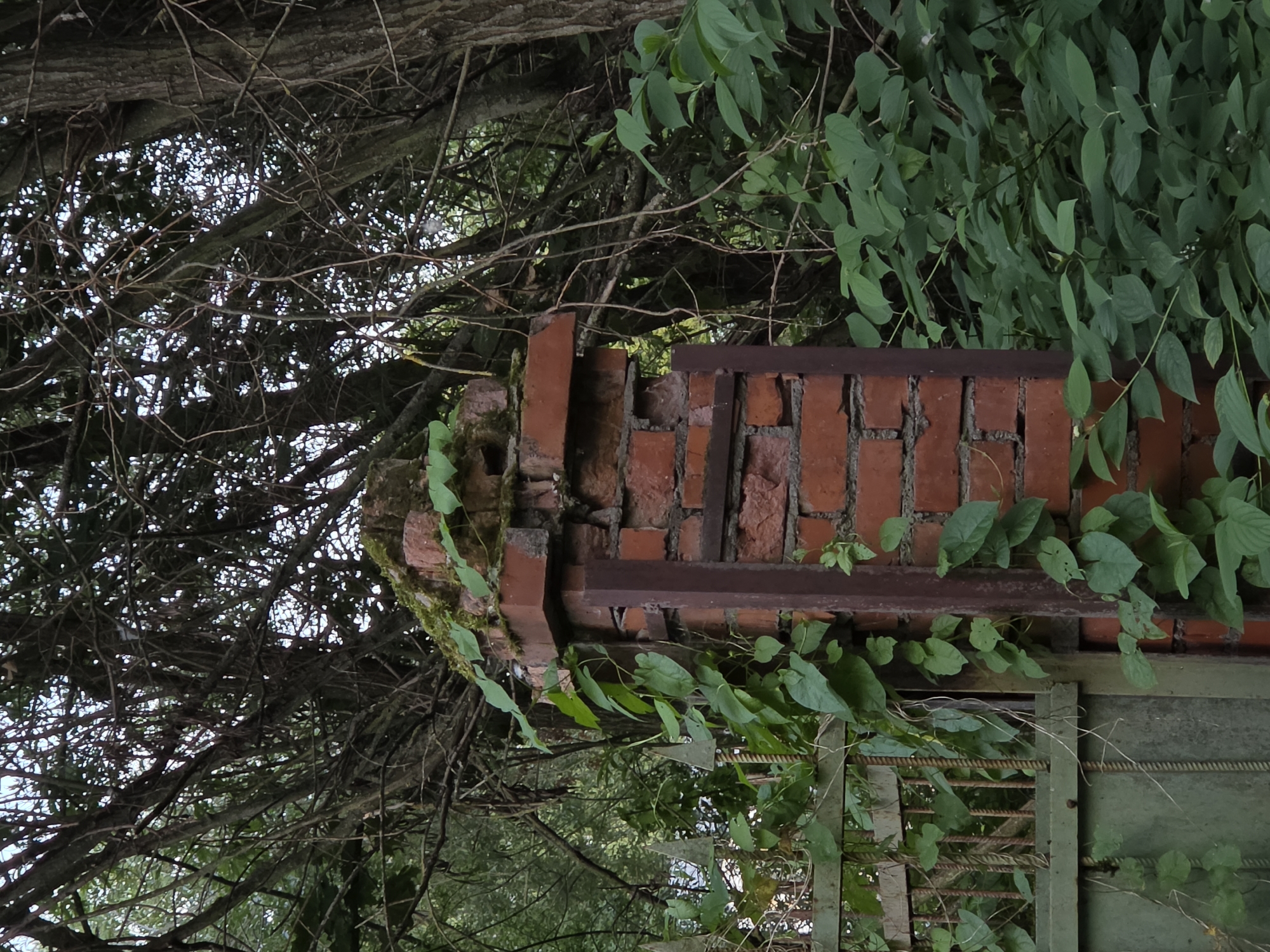 The image depicts a weathered brick pillar entwined with green vines, situated in Strelna, Russia, near a green metal gate. The pillar, made of red bricks, shows signs of age and disrepair, with some bricks chipped and moss growing on its upper surface. A dark metal beam runs vertically along the side of the pillar. Behind the pillar and gate, dense foliage and the branches of trees create a natural, somewhat overgrown environment. The overall impression is one of a forgotten or neglected entrance, possibly on the grounds of an older estate or park in Strelna. No people are visible in the frame.