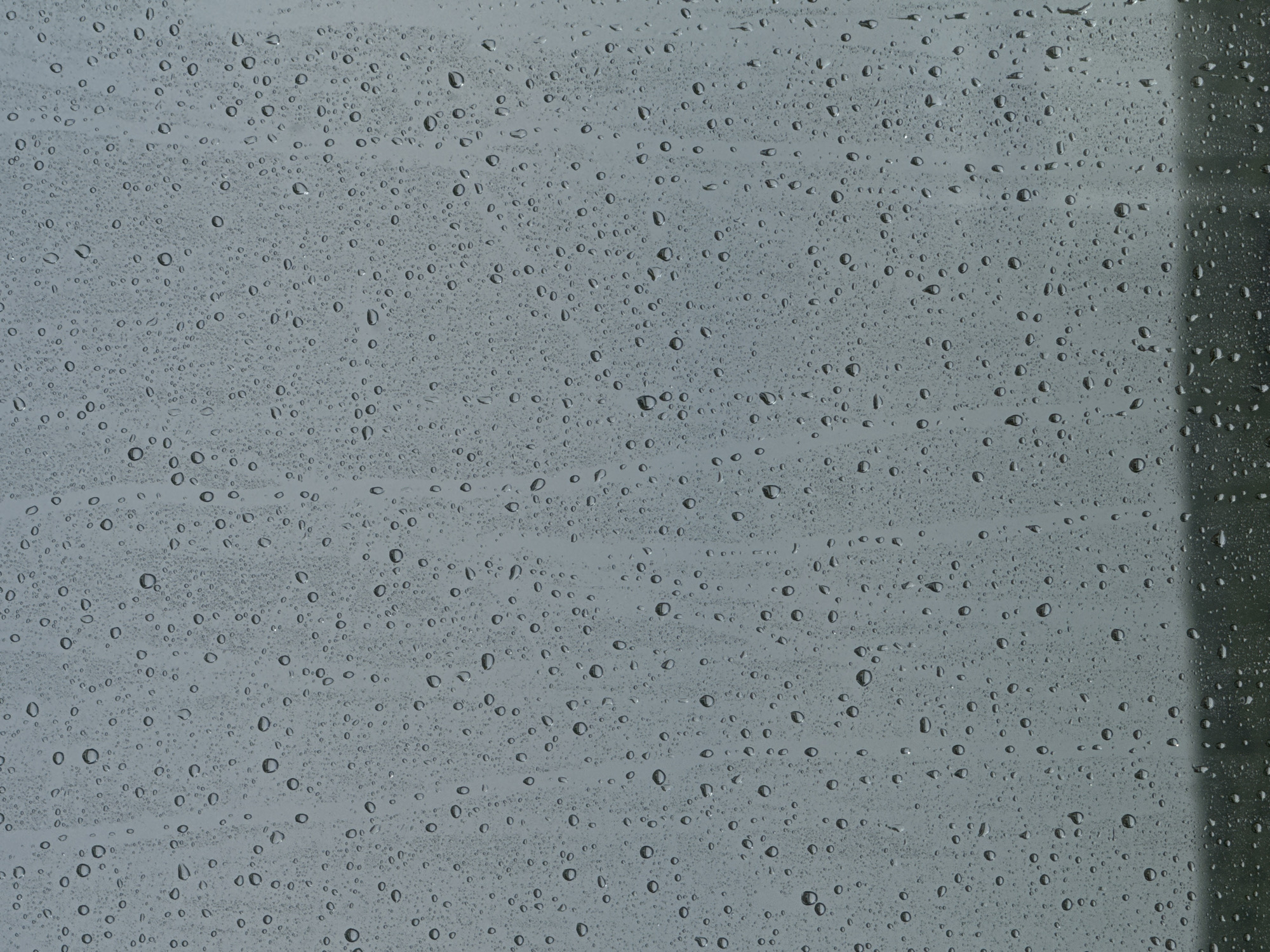 The image shows a close-up of a surface covered in raindrops, obscuring the view beyond. The surface is likely glass or a similar transparent material. The density of the raindrops is high, creating a mottled texture and partially distorting the light. The color palette is dominated by shades of gray, reflecting the overcast or rainy weather conditions. In the right edge of the frame, a darker vertical section is visible, possibly a frame or structural element of the window or surface. There is no evidence to indicate the location is in Chaikovsky, Russia. No people or actions are visible in the image.